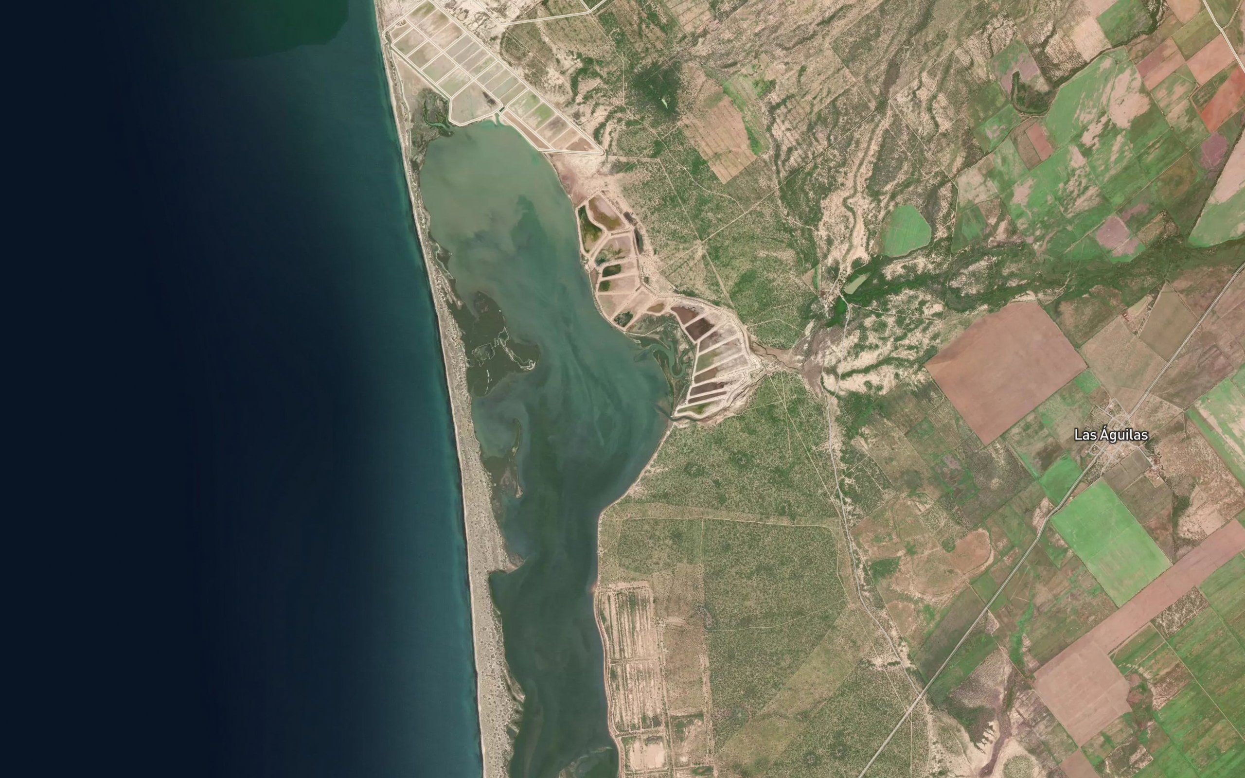 Estero Bamocha