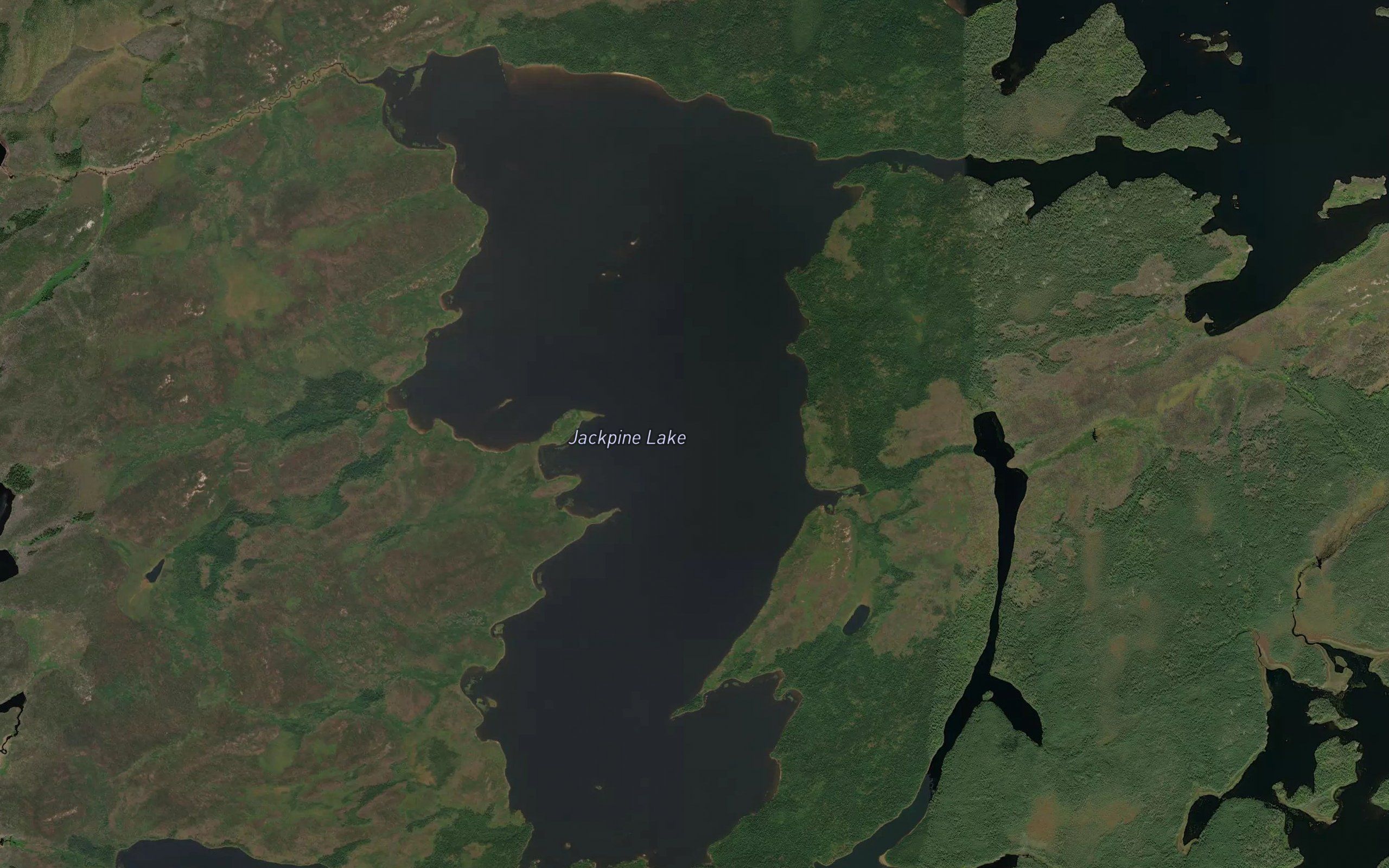 Jackpine Lake