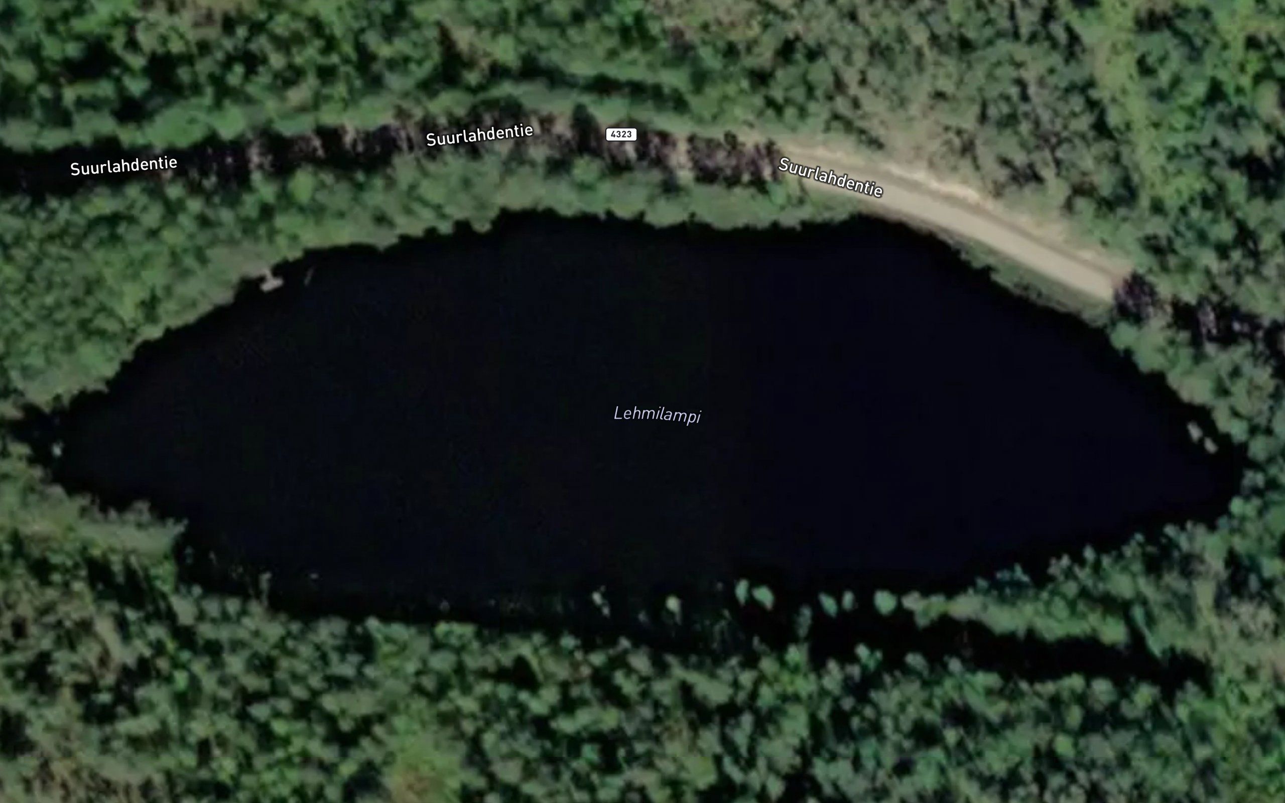 Lehmilampi