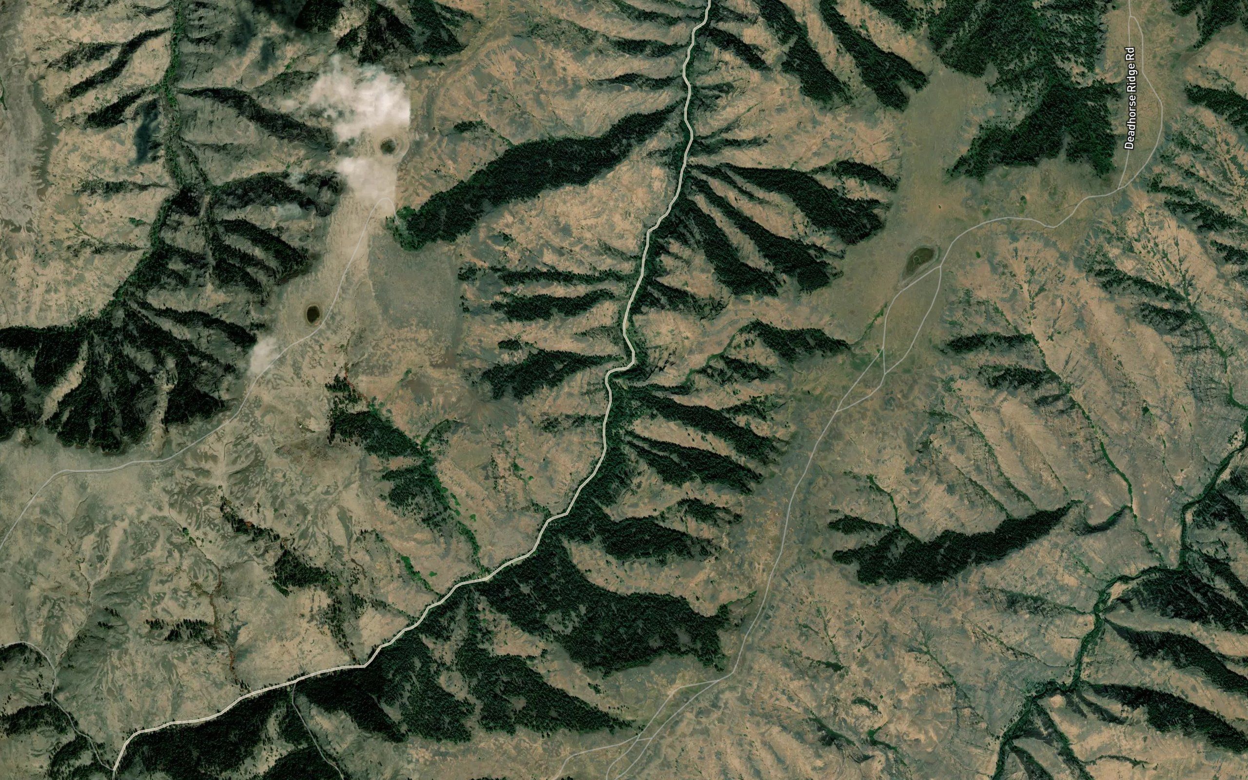 Rattlesnake Creek