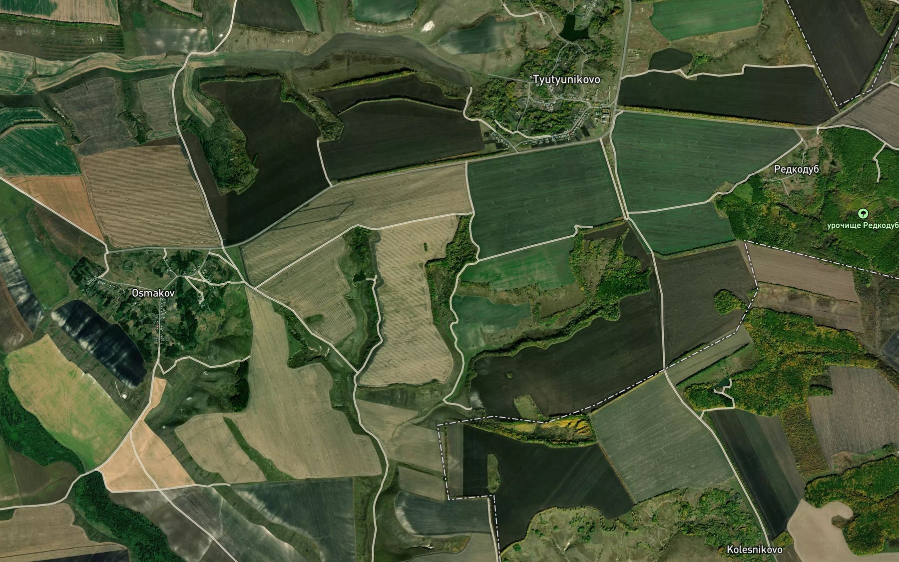 Satellite map of the Balka Yasenev Yar