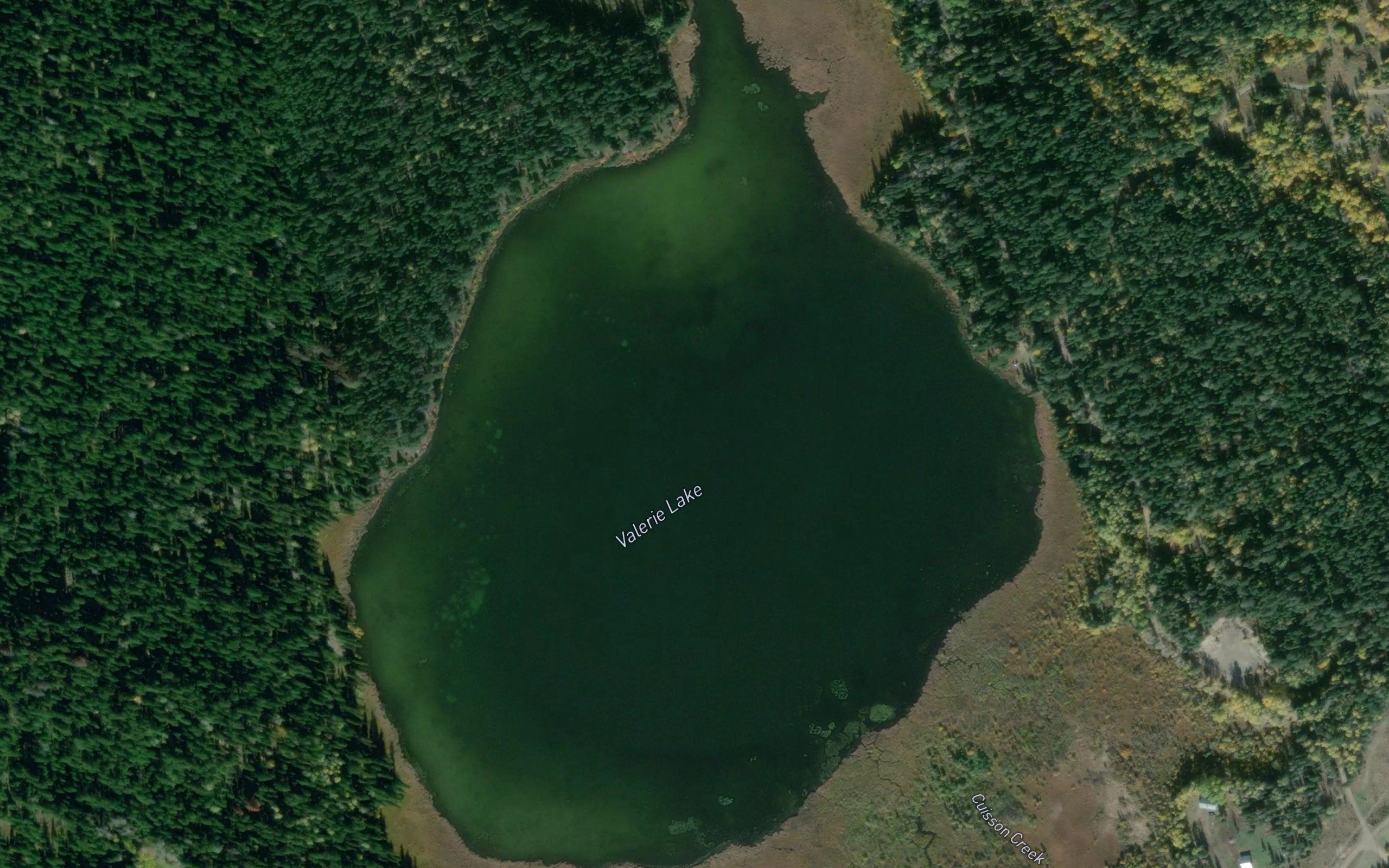 Valerie Lake