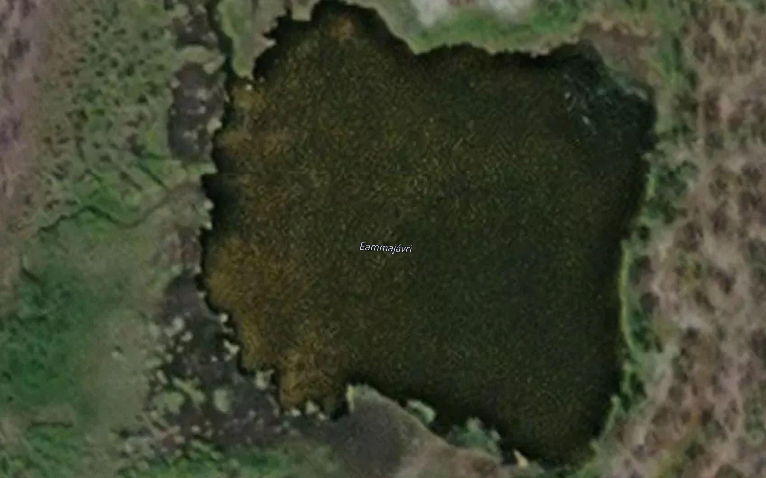 Eammajavri