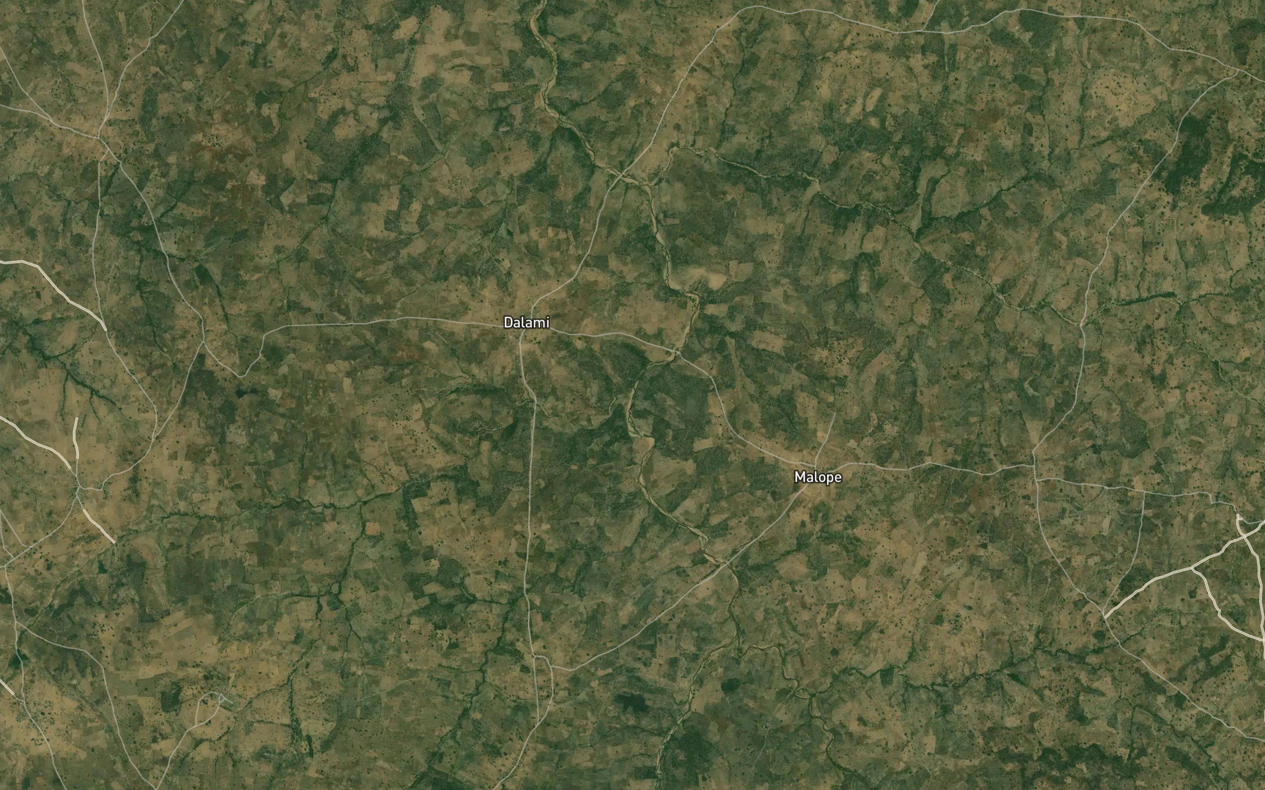 Daagima