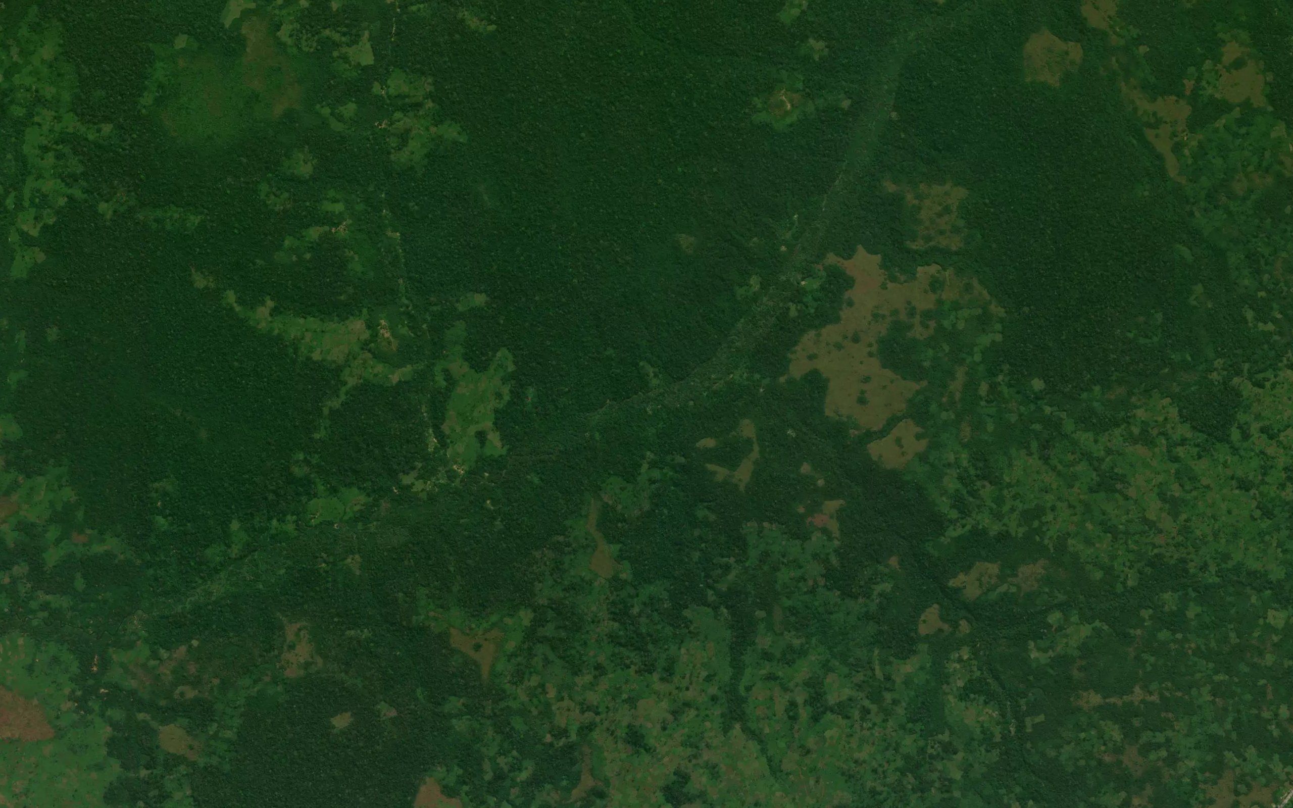 Kangaji