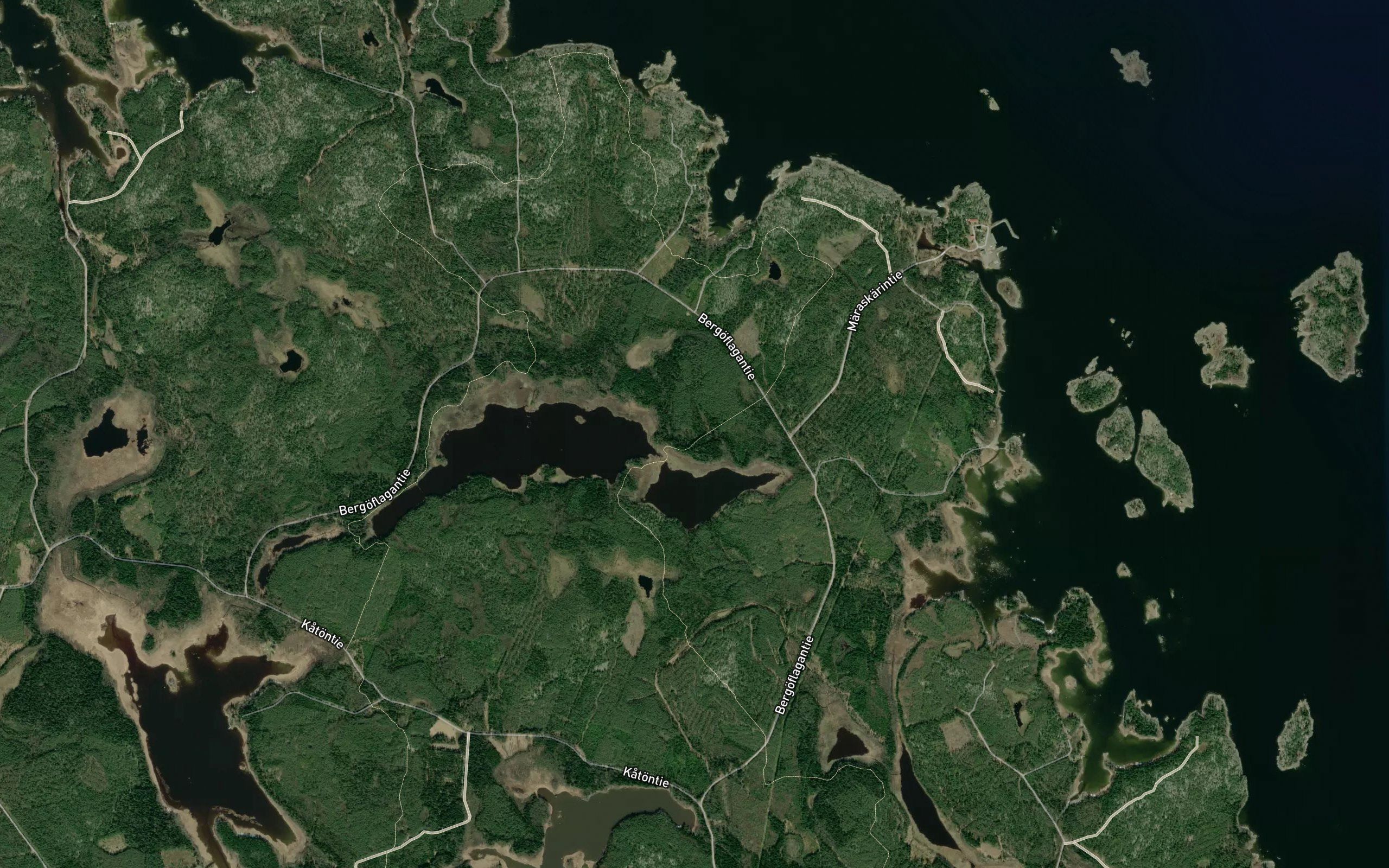 Bergoflagan