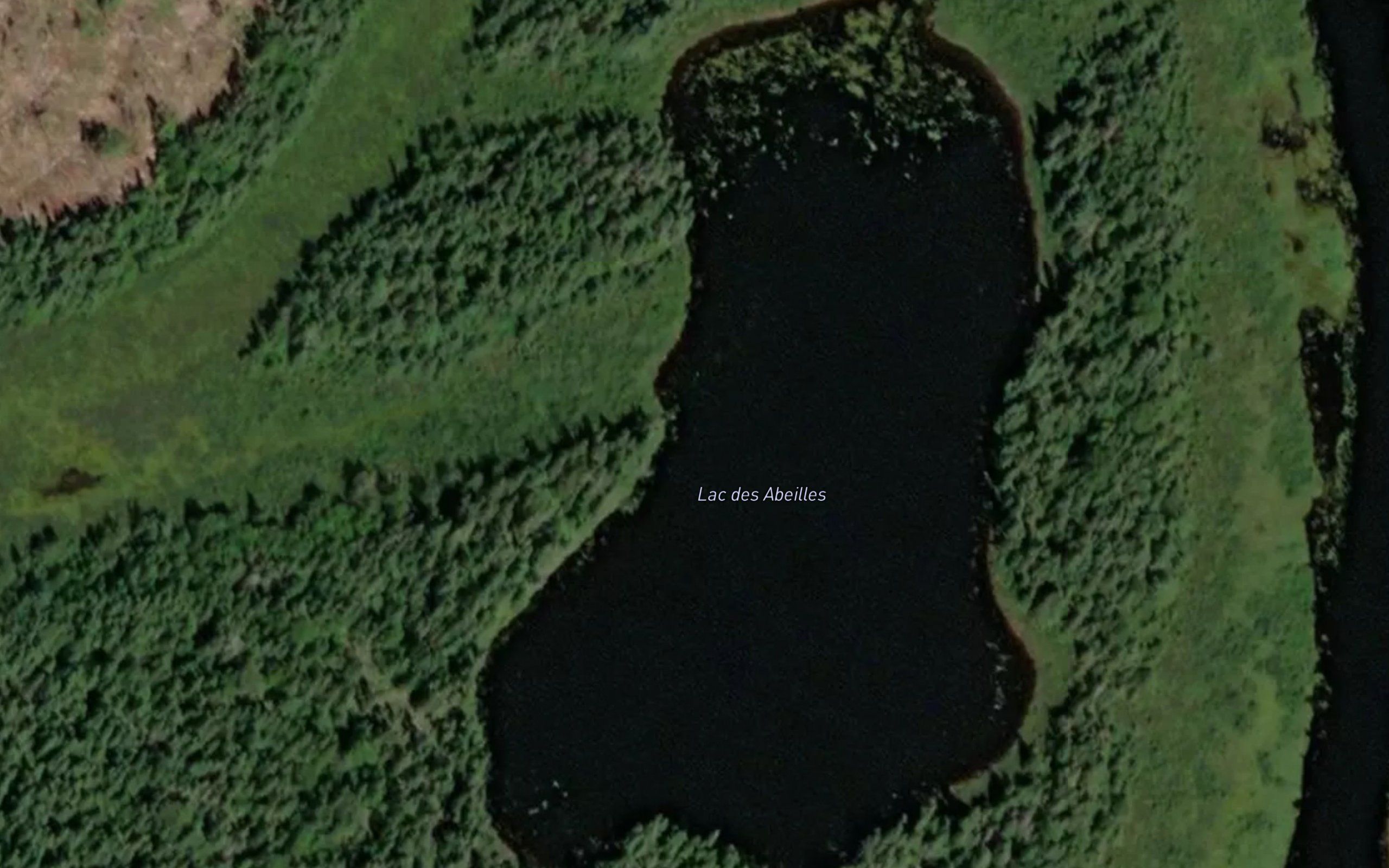 Lac des Abeilles