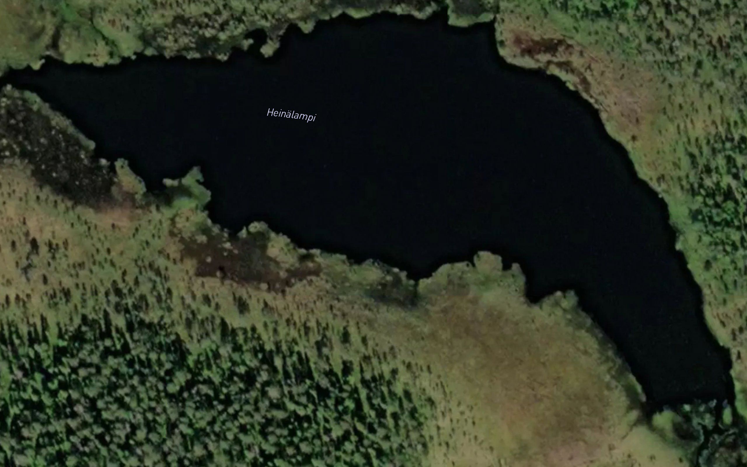 Heinalampi