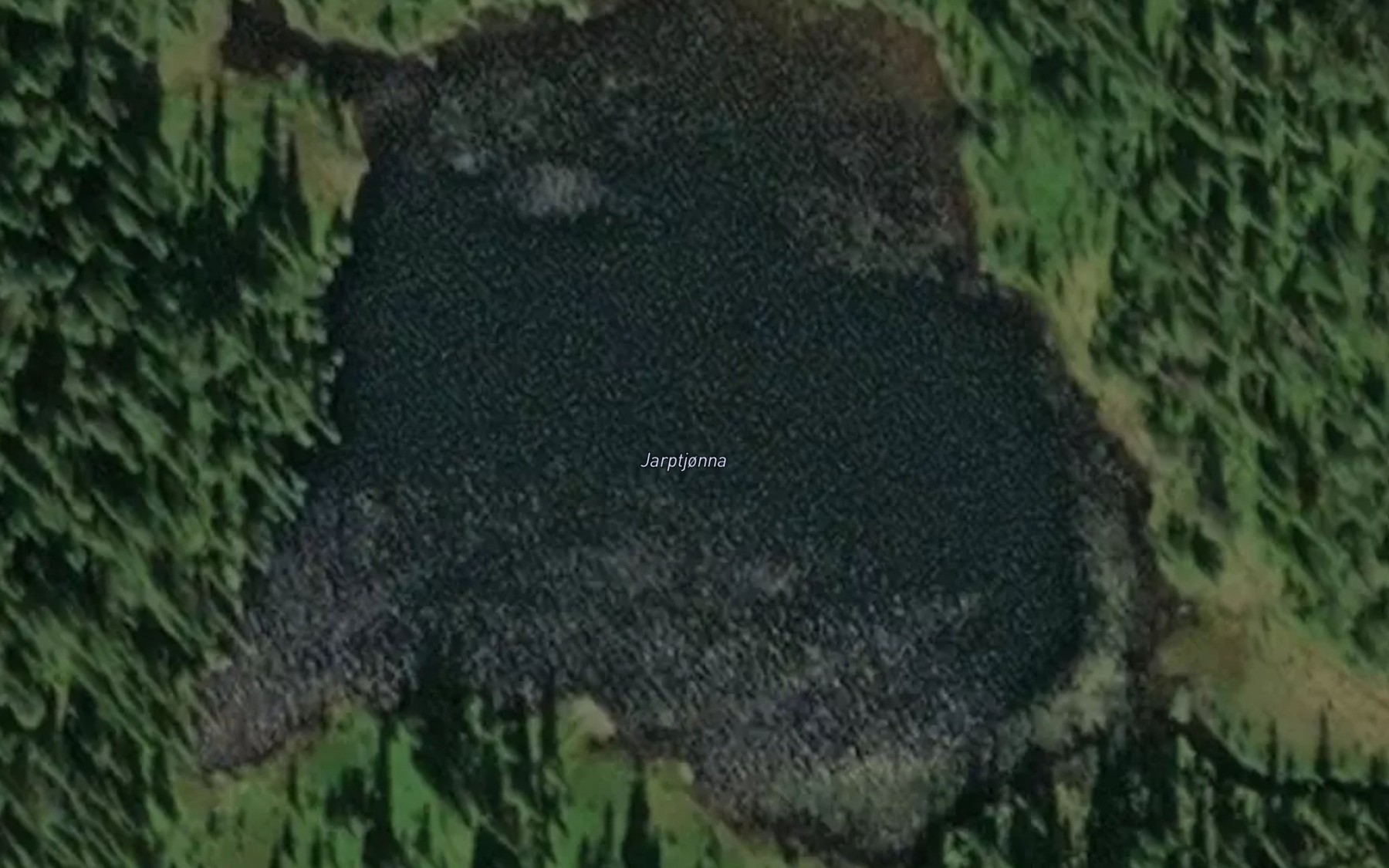 Satellite map of the Vassdalstjorna