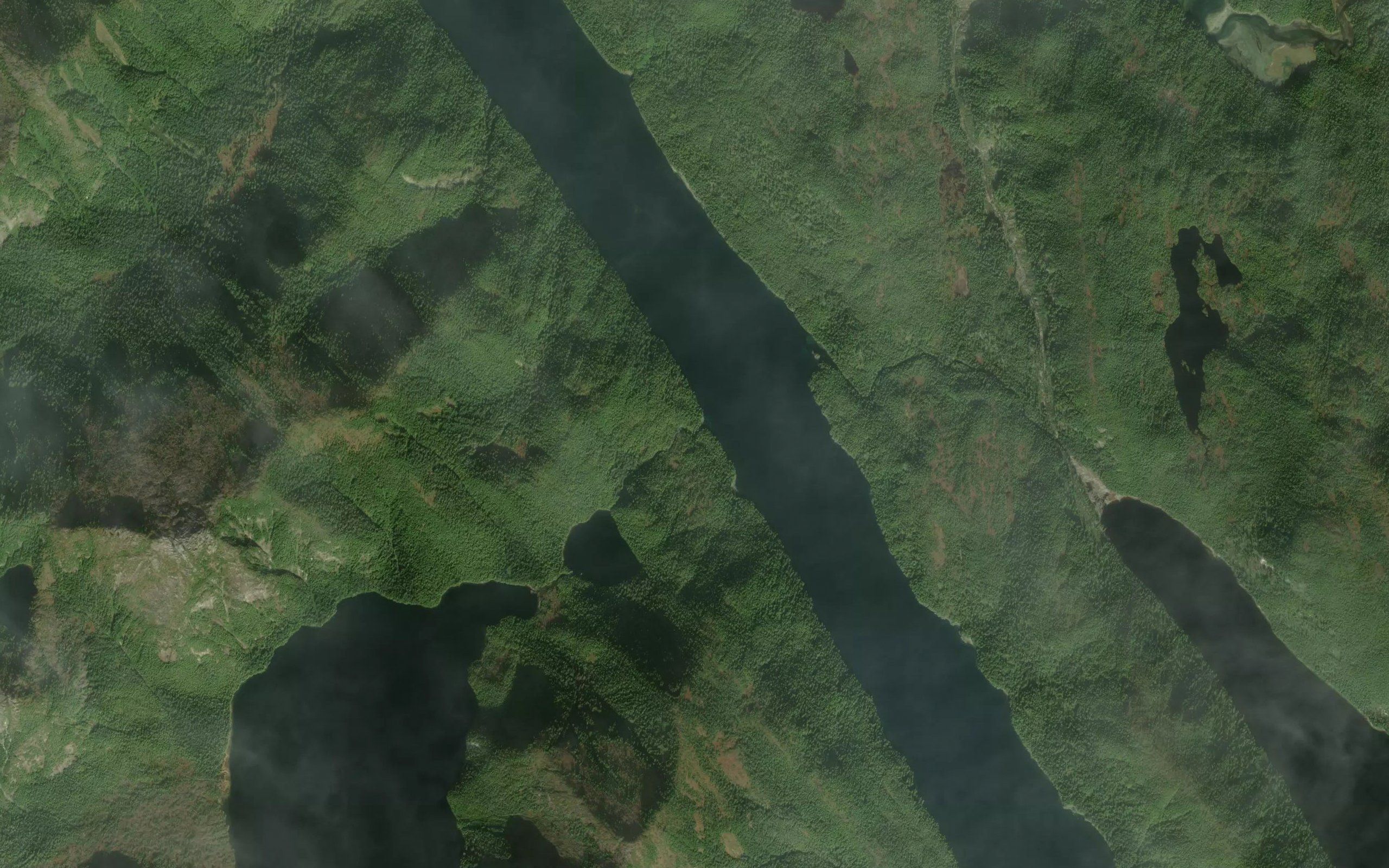 Stella Creek