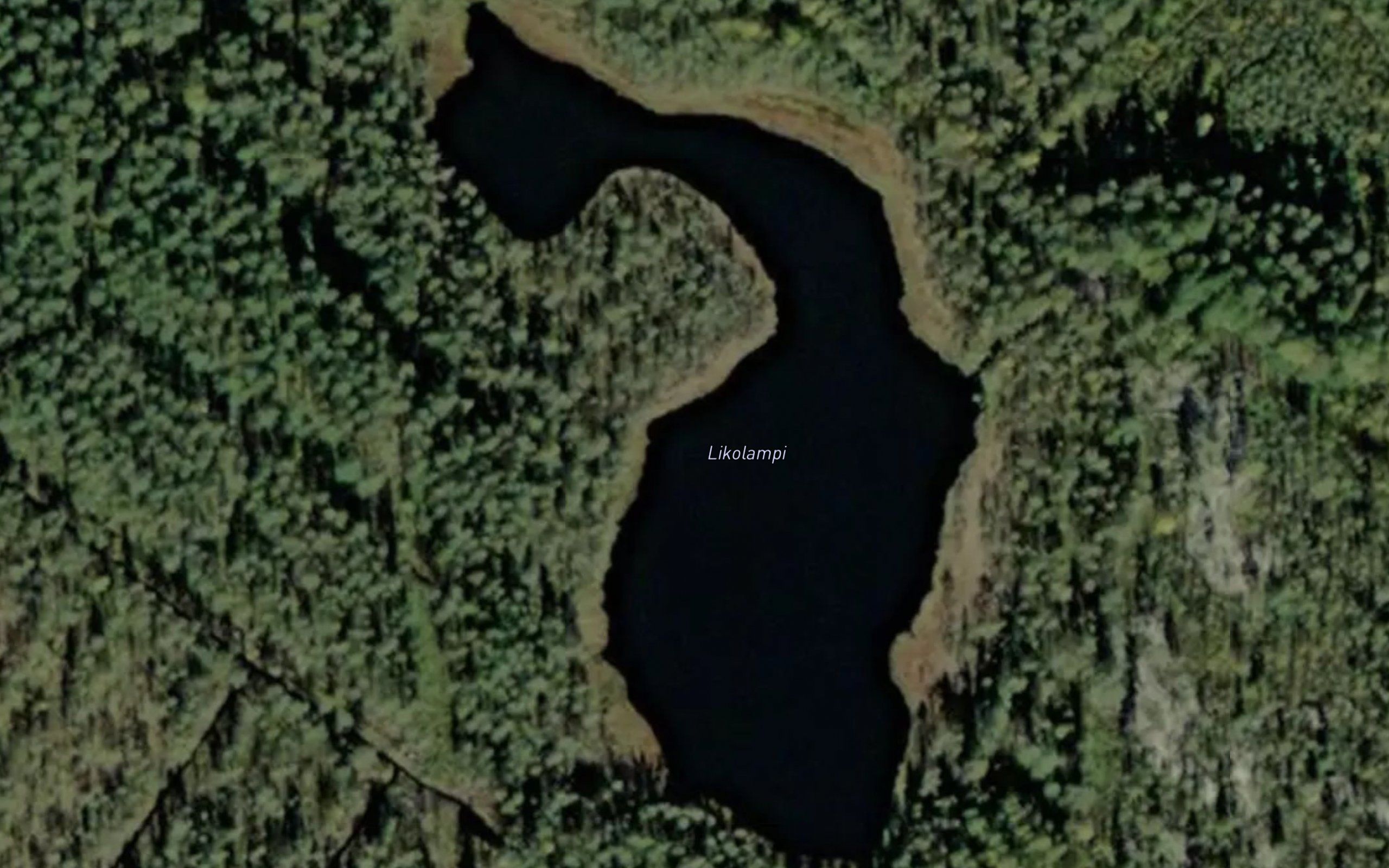 Likolampi