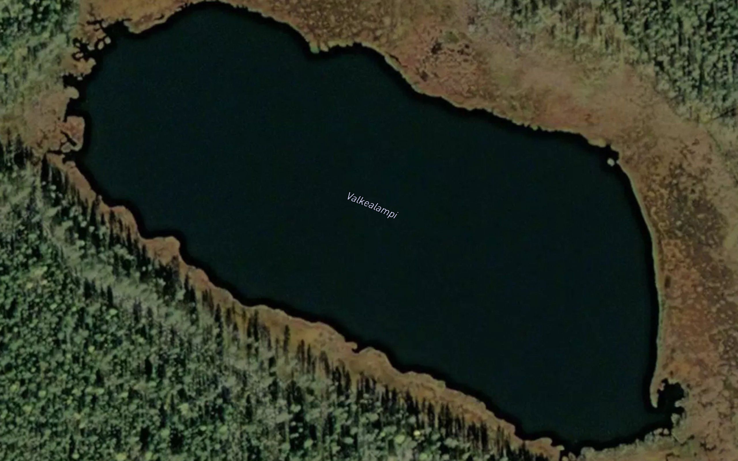 Valkealampi