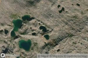 Mickey Lake