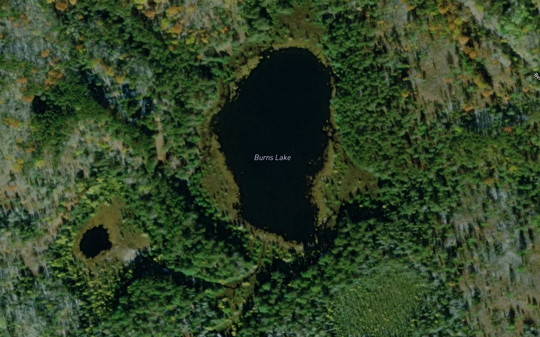 Satellite map of the Burns Lake