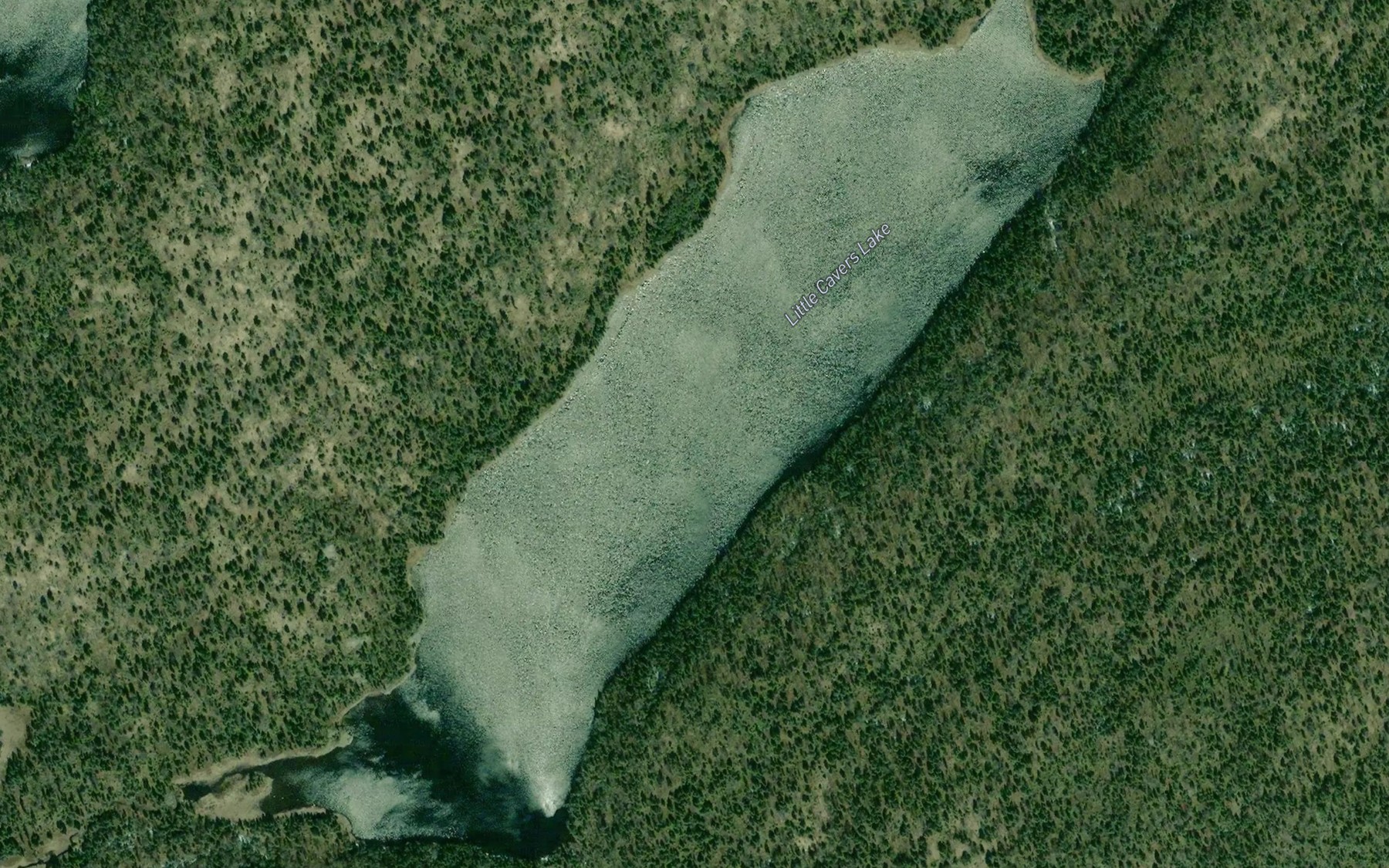Satellite map of the Little Cavers Lake