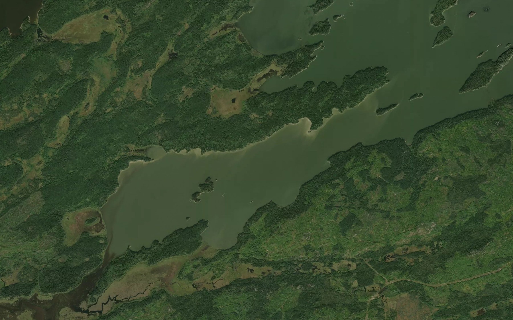 Satellite map of the Roy Young Bay
