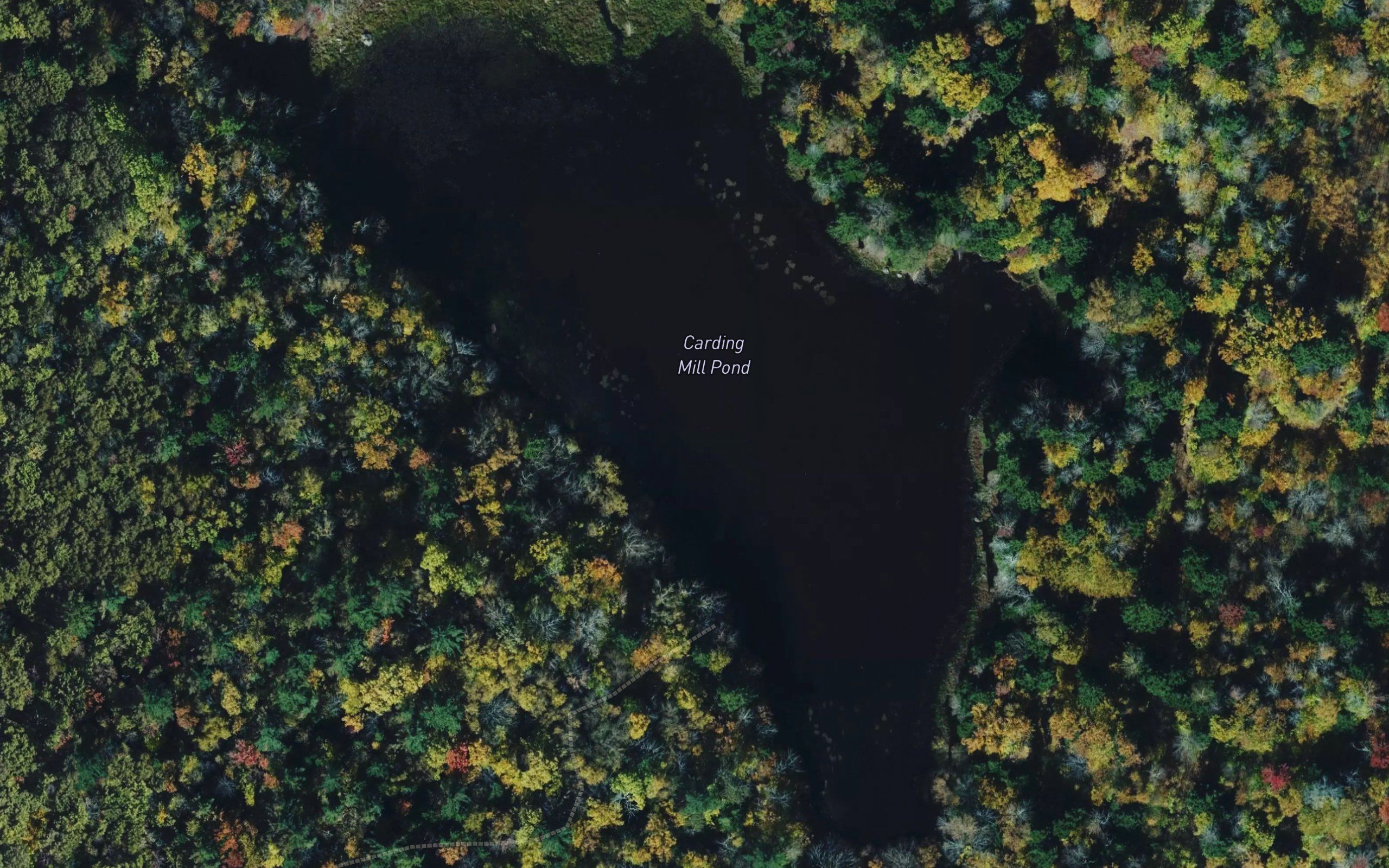 Carding Mill Pond