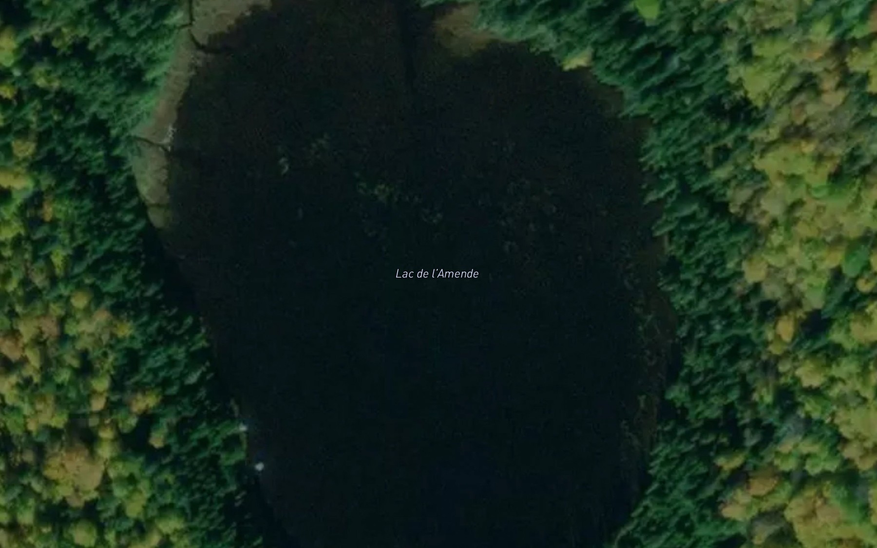 Satellite map of the Lac de l'Amende