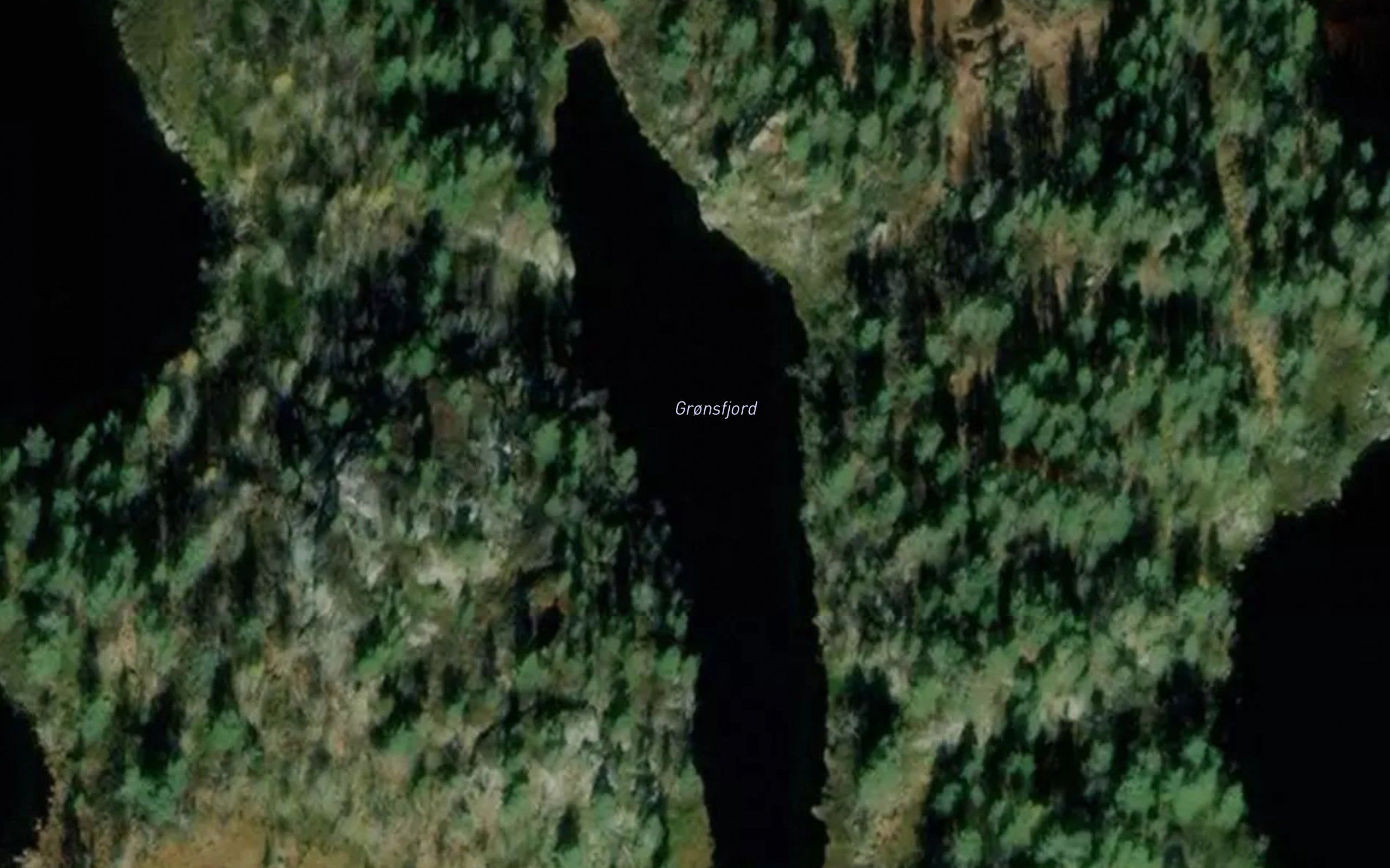 Gronsfjord