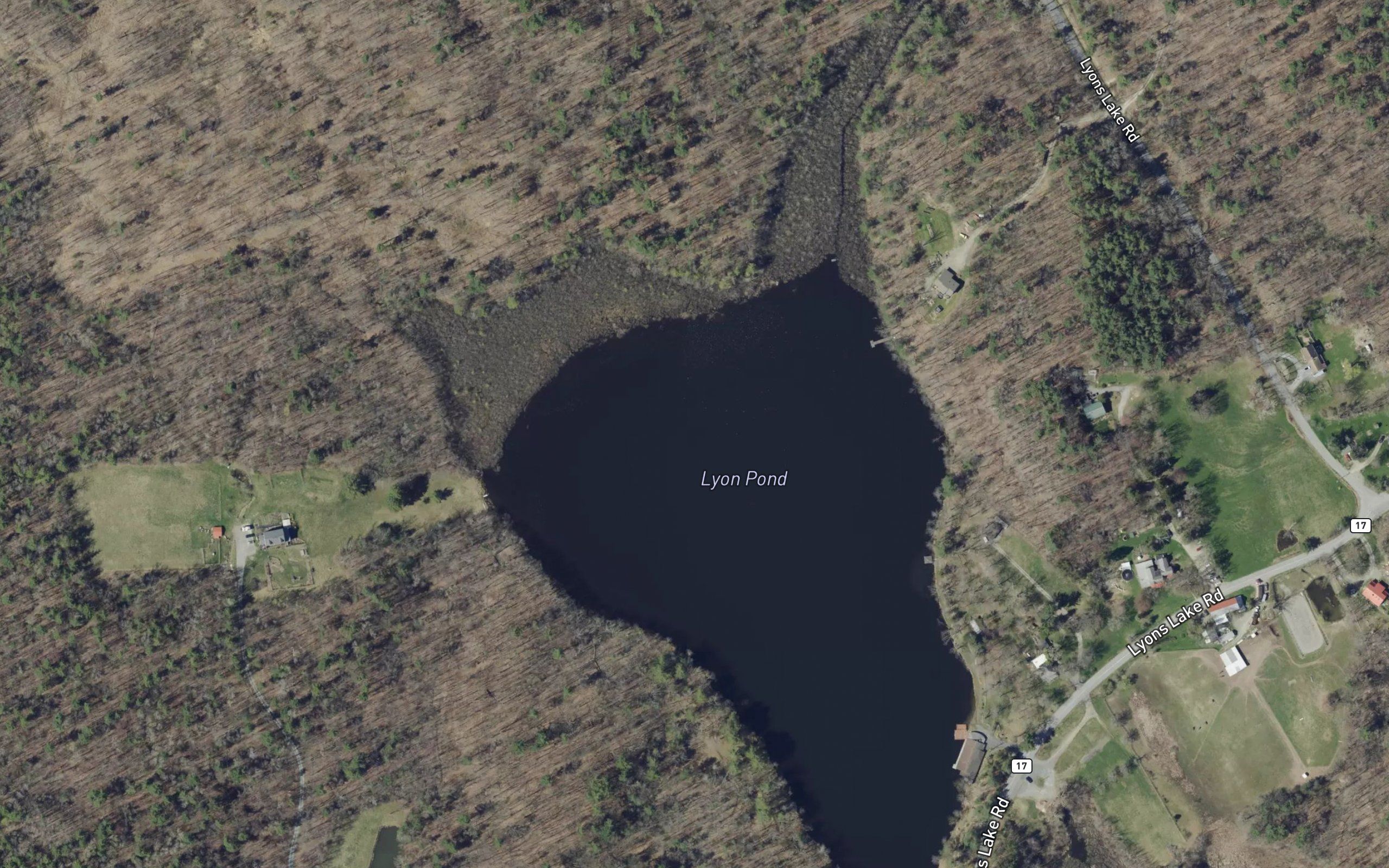 Lyons Pond