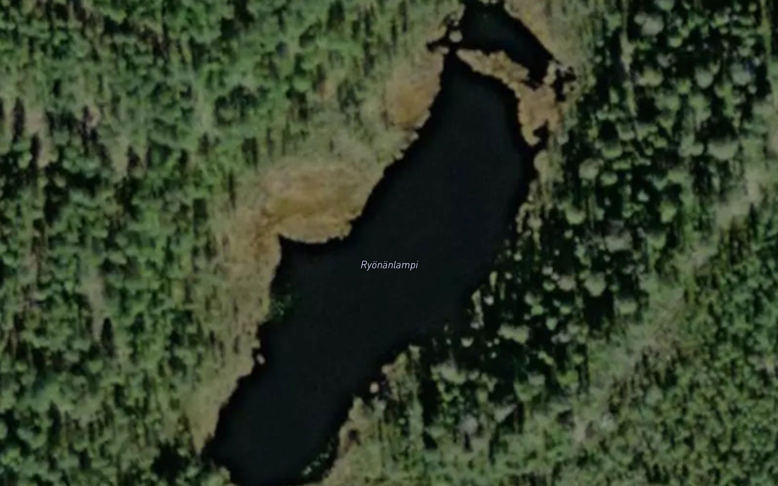 Ryonanlampi
