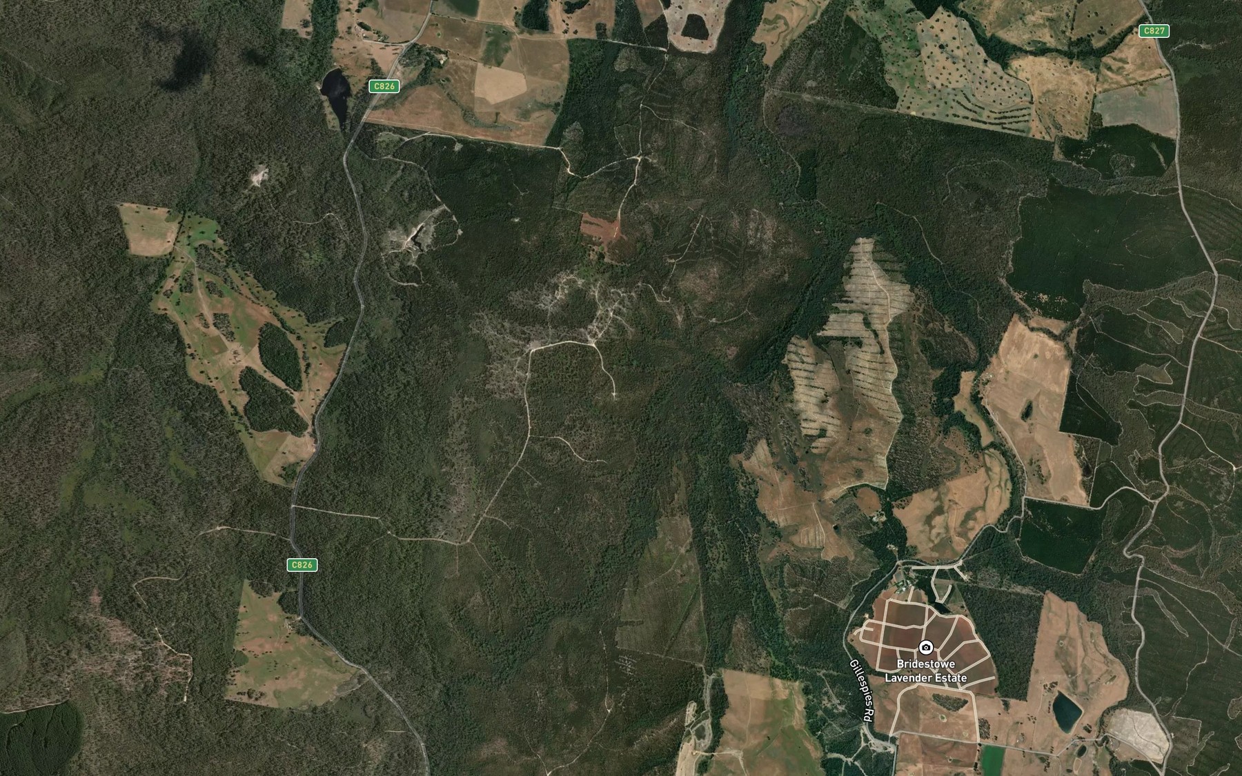 Satellite map of the Lone Star Creek