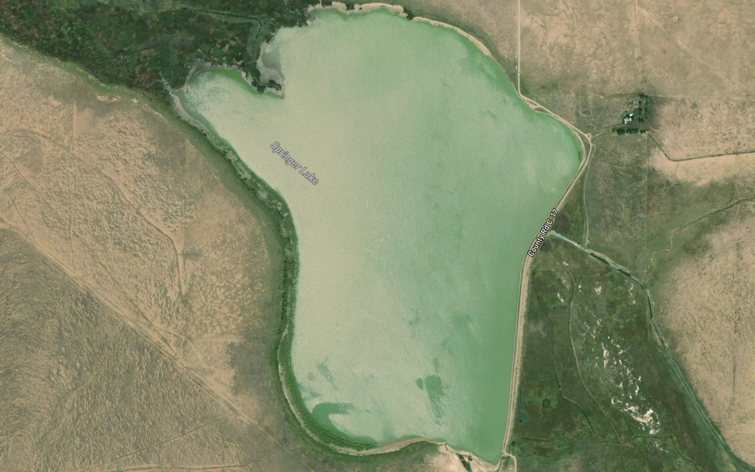 Springer Lake