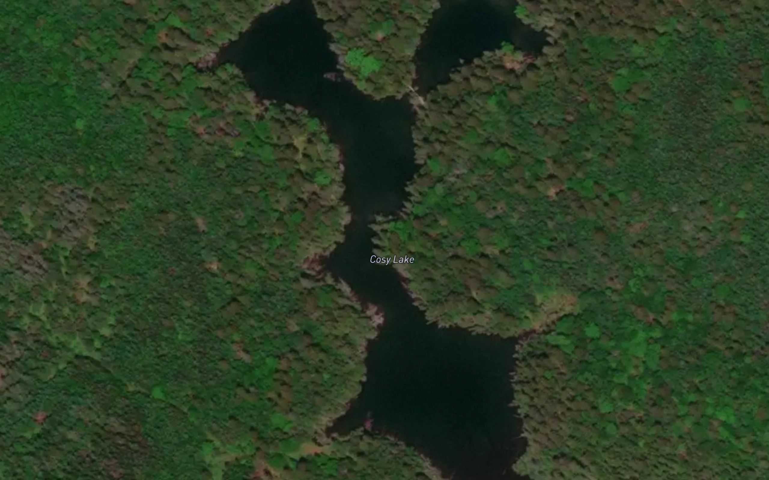Cosy Lake
