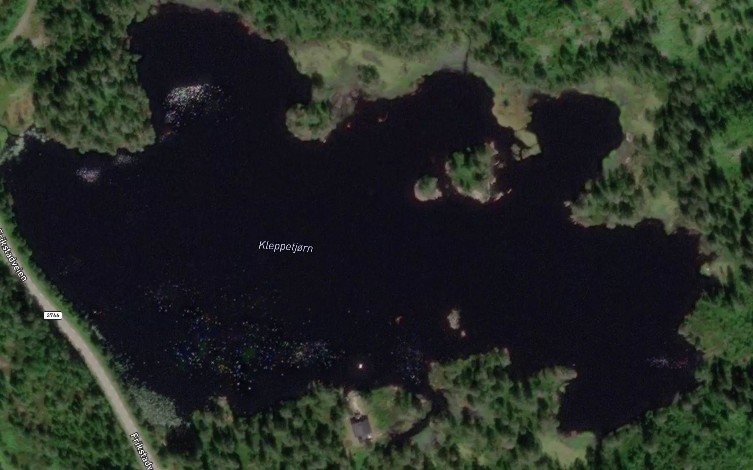 Kleppetjorn