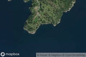 Apalevika