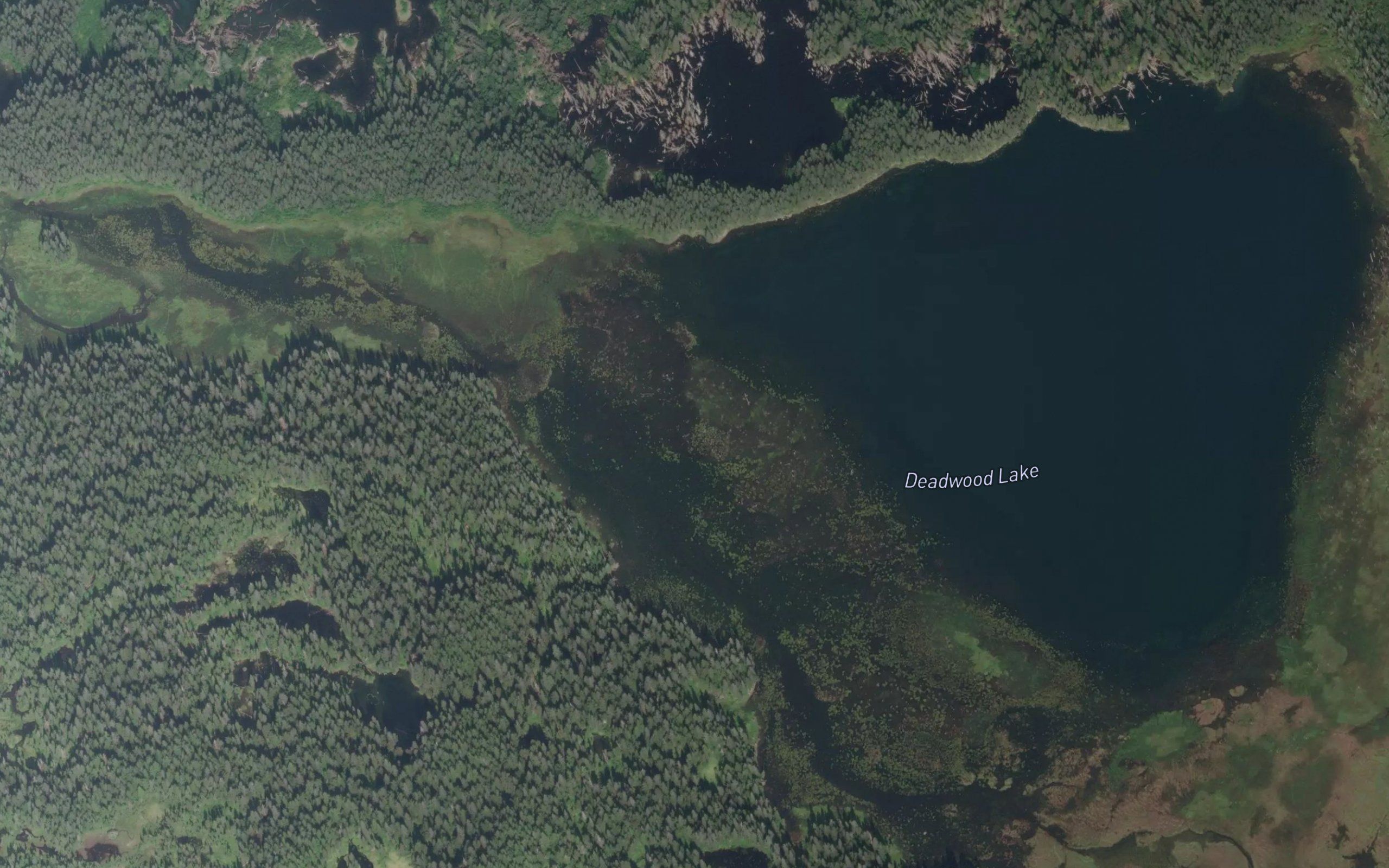 Deadwood Lake