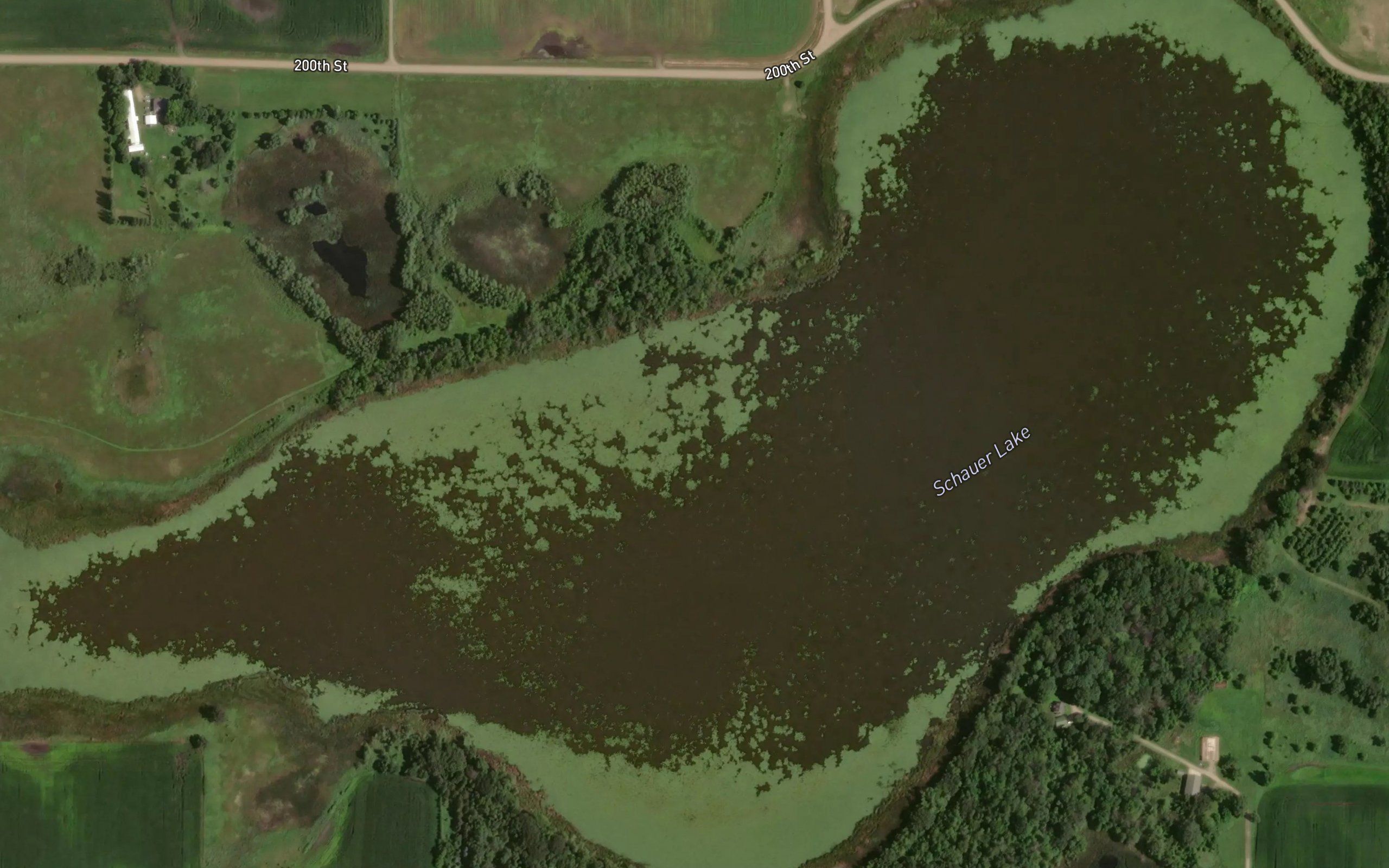 Schauer Lake