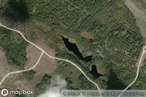 Hevosenpersiinlammit