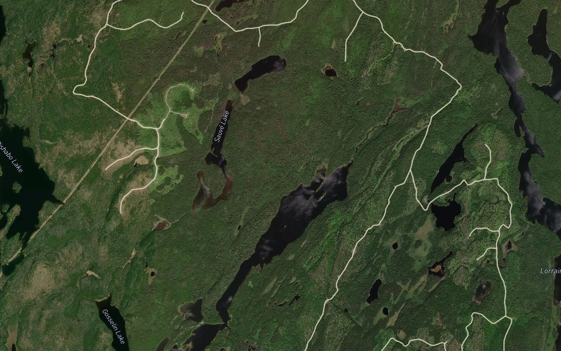 Satellite map of the Friday Creek