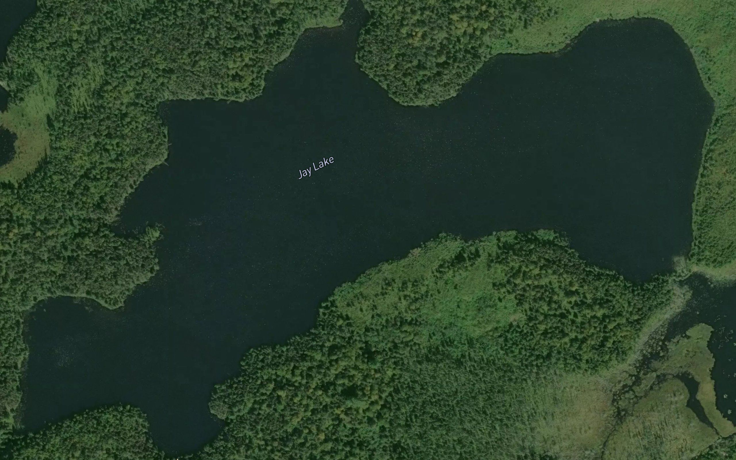 Jay Lake