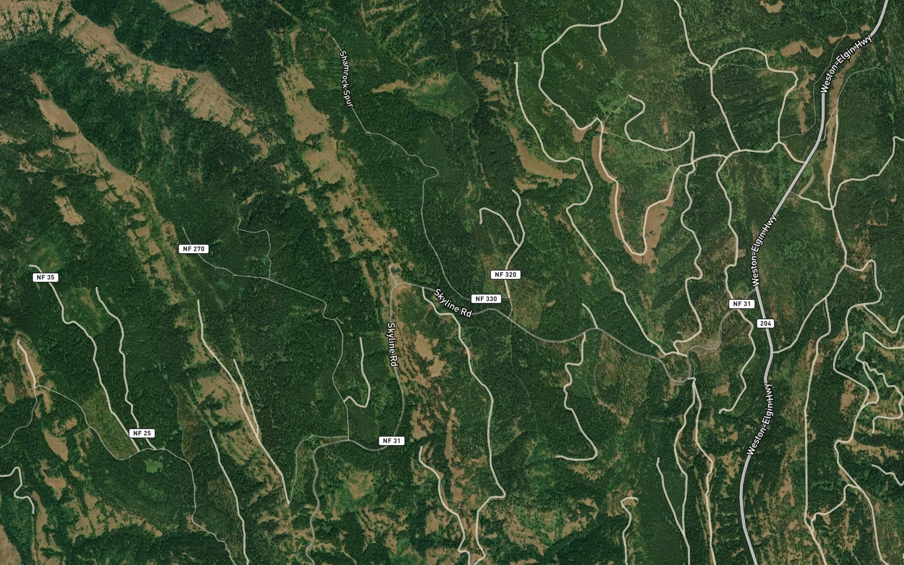 Satellite map of the Ford Spring