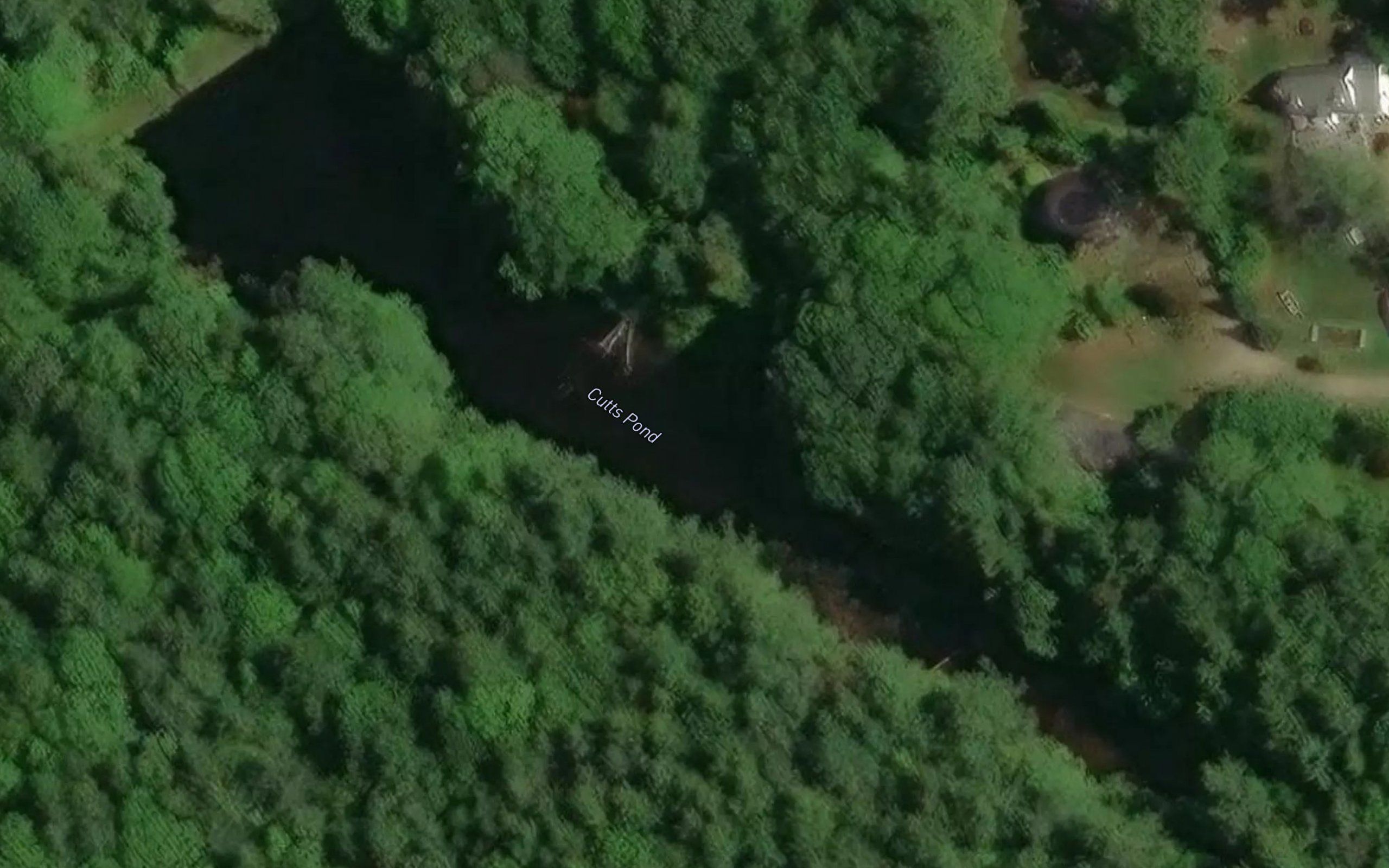 Cutts Pond