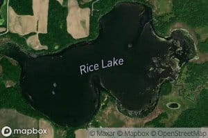 Rice Lake