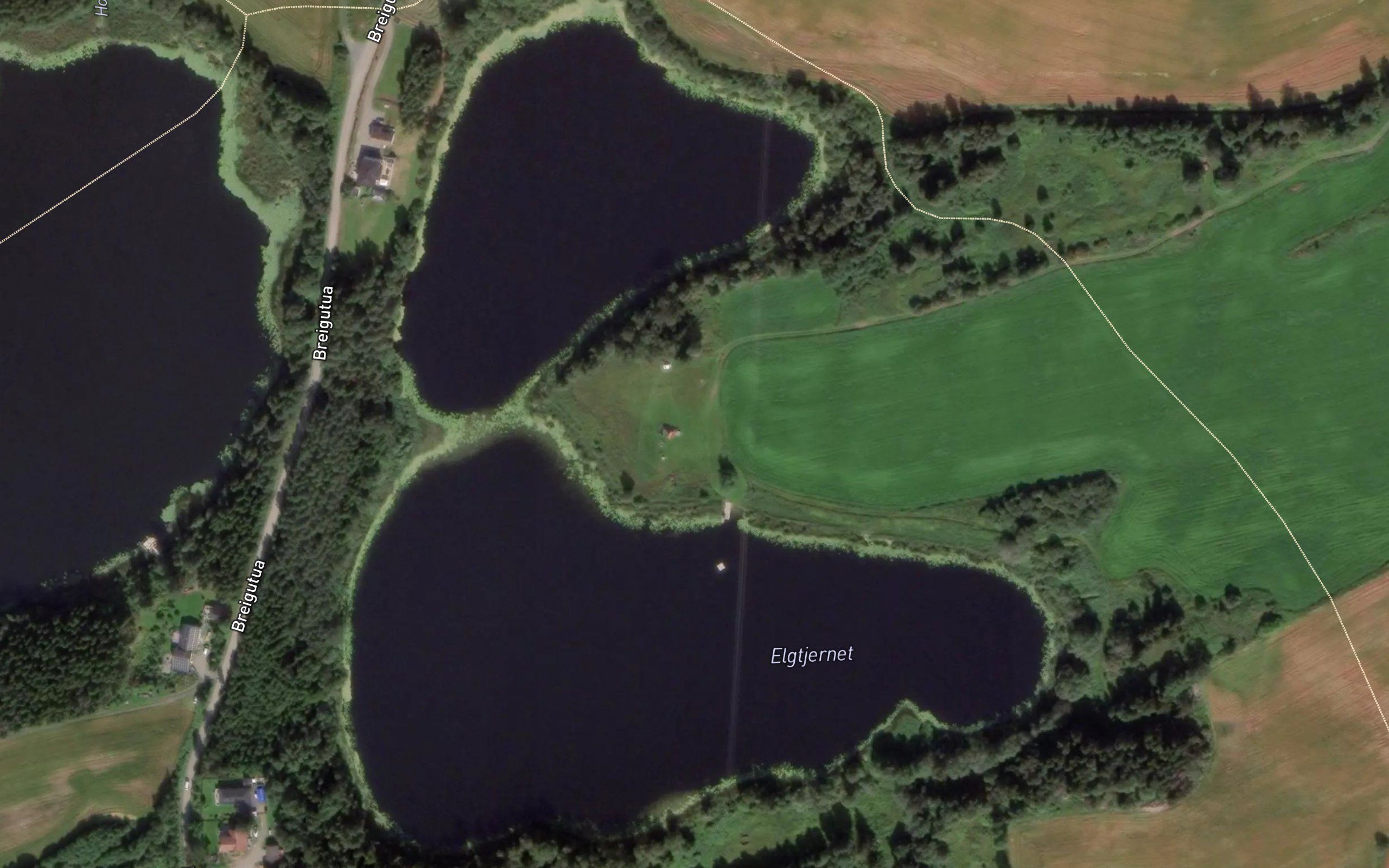 Eldtjern