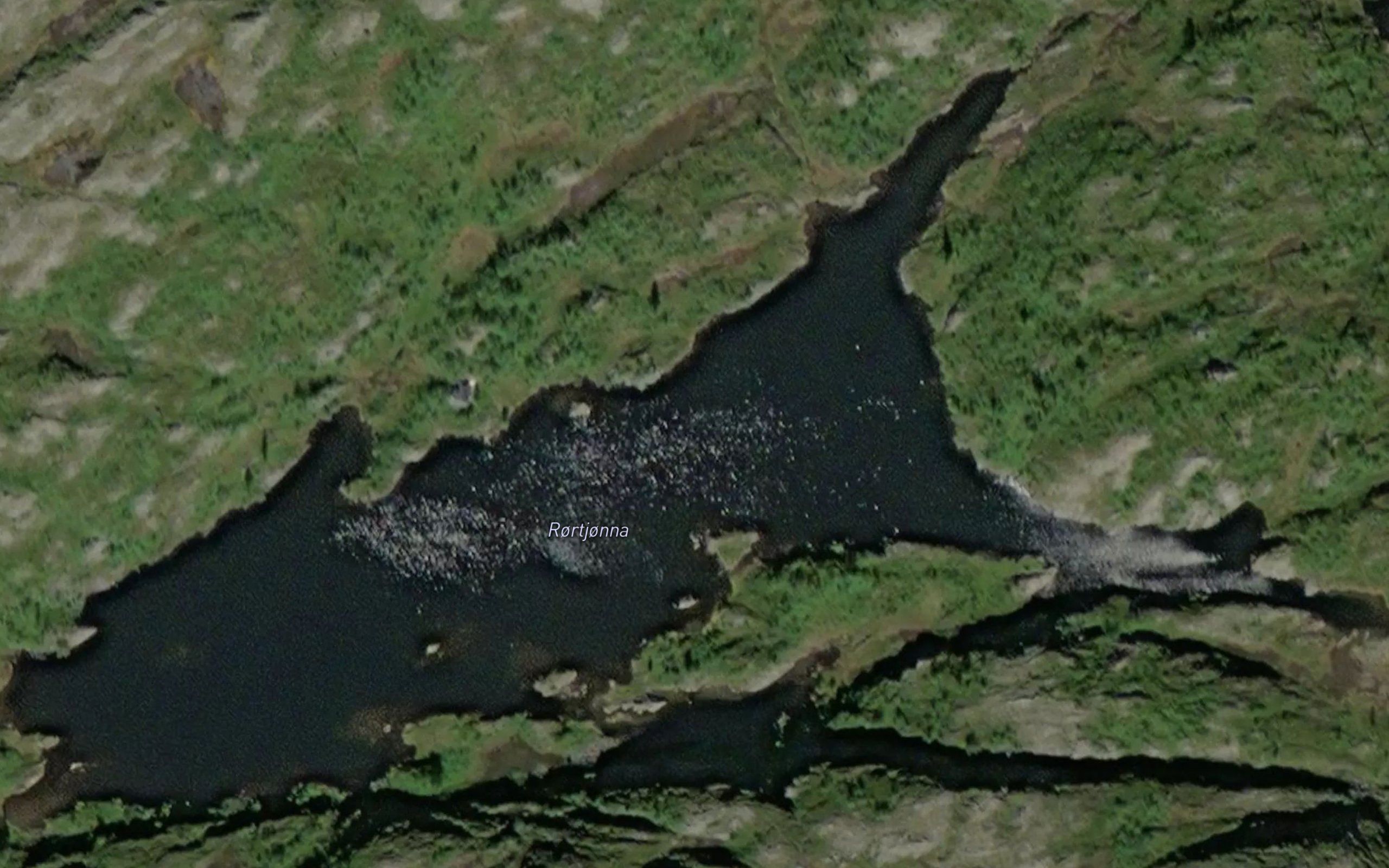 Royrtjorna