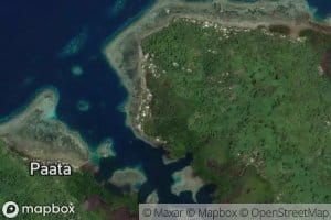 interior Mangrove Swamp