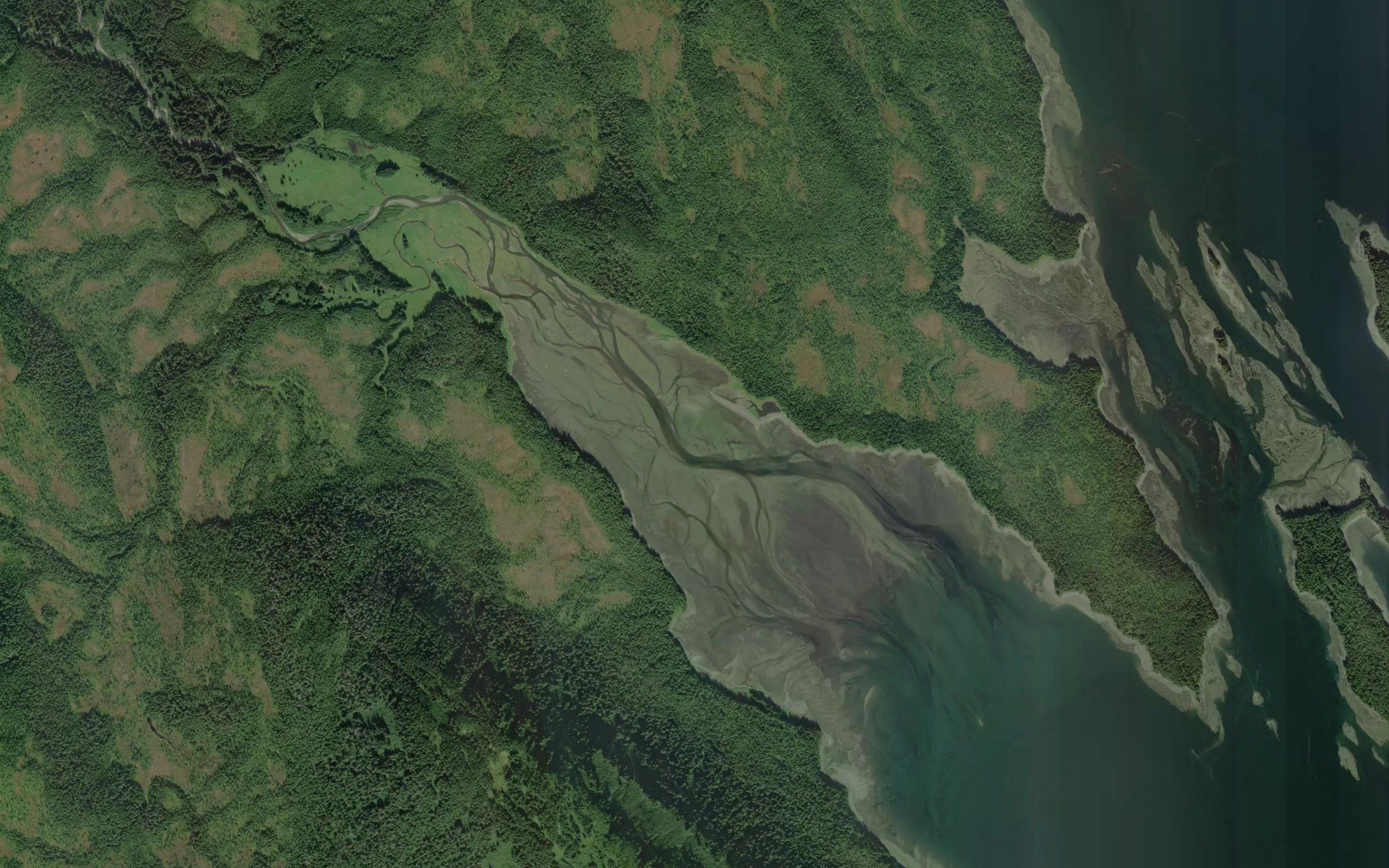 King Salmon Bay