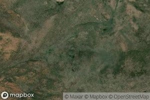 Quaking Aspen Springs