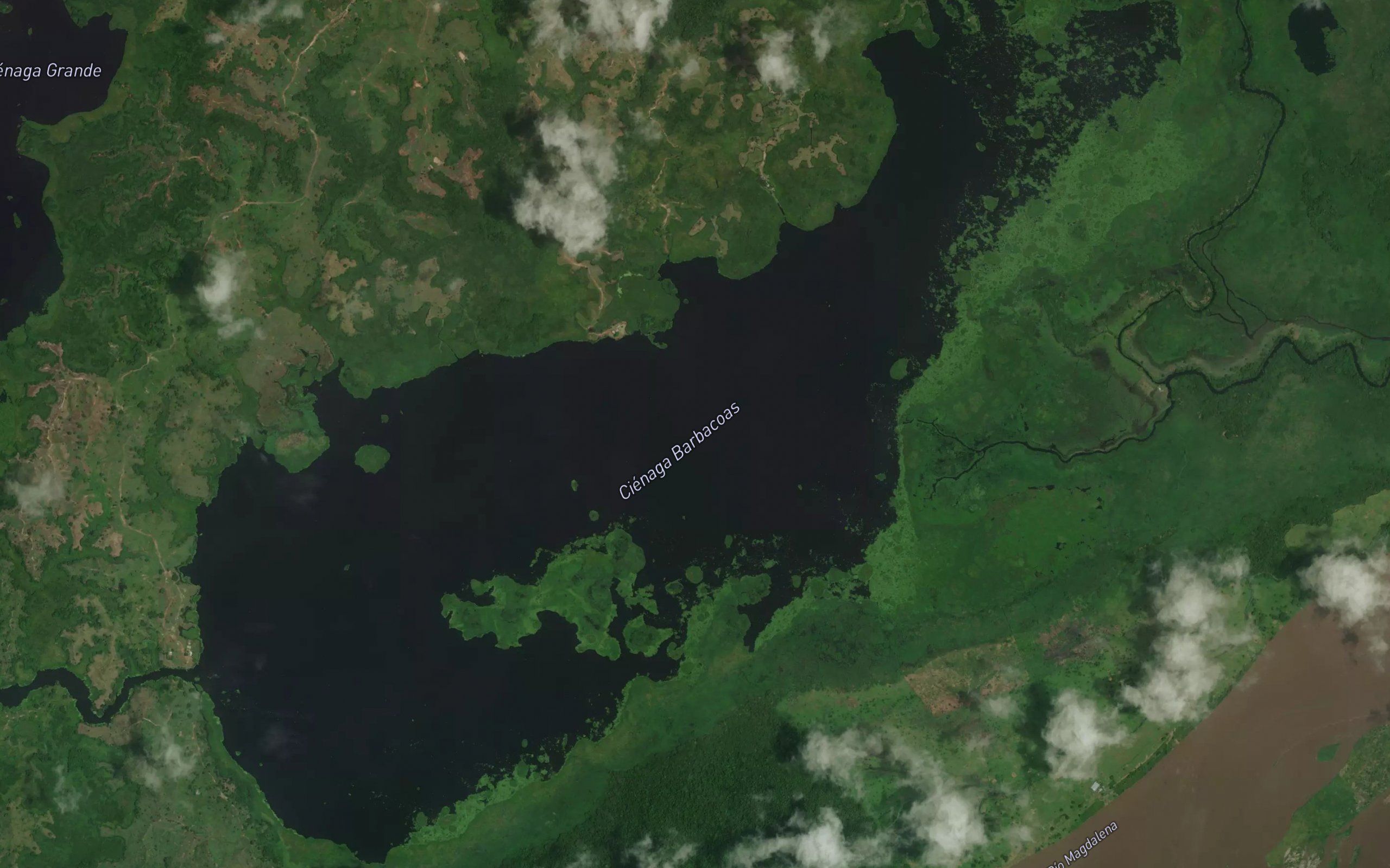 Cienaga Barbacoas