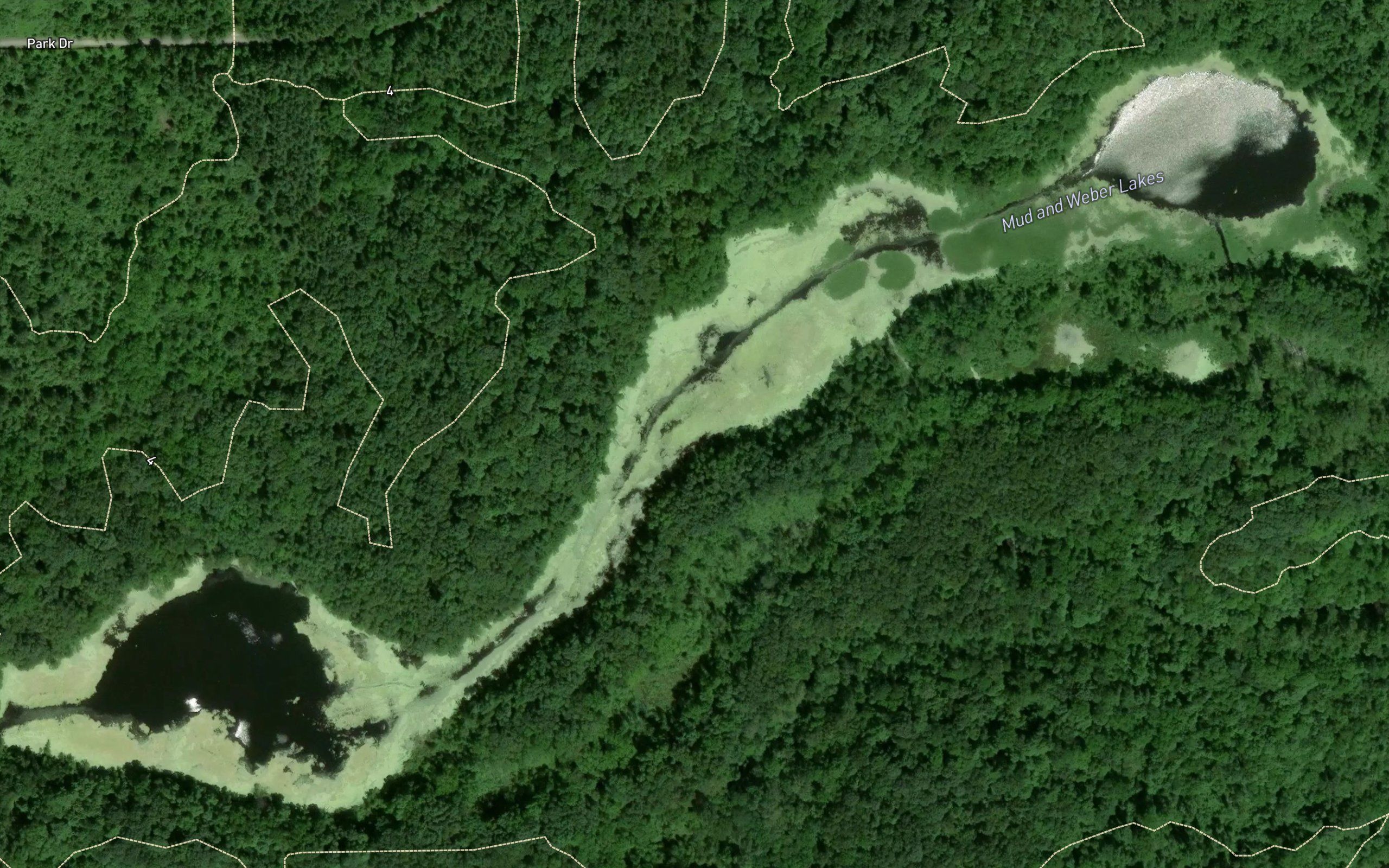 Weber Lake