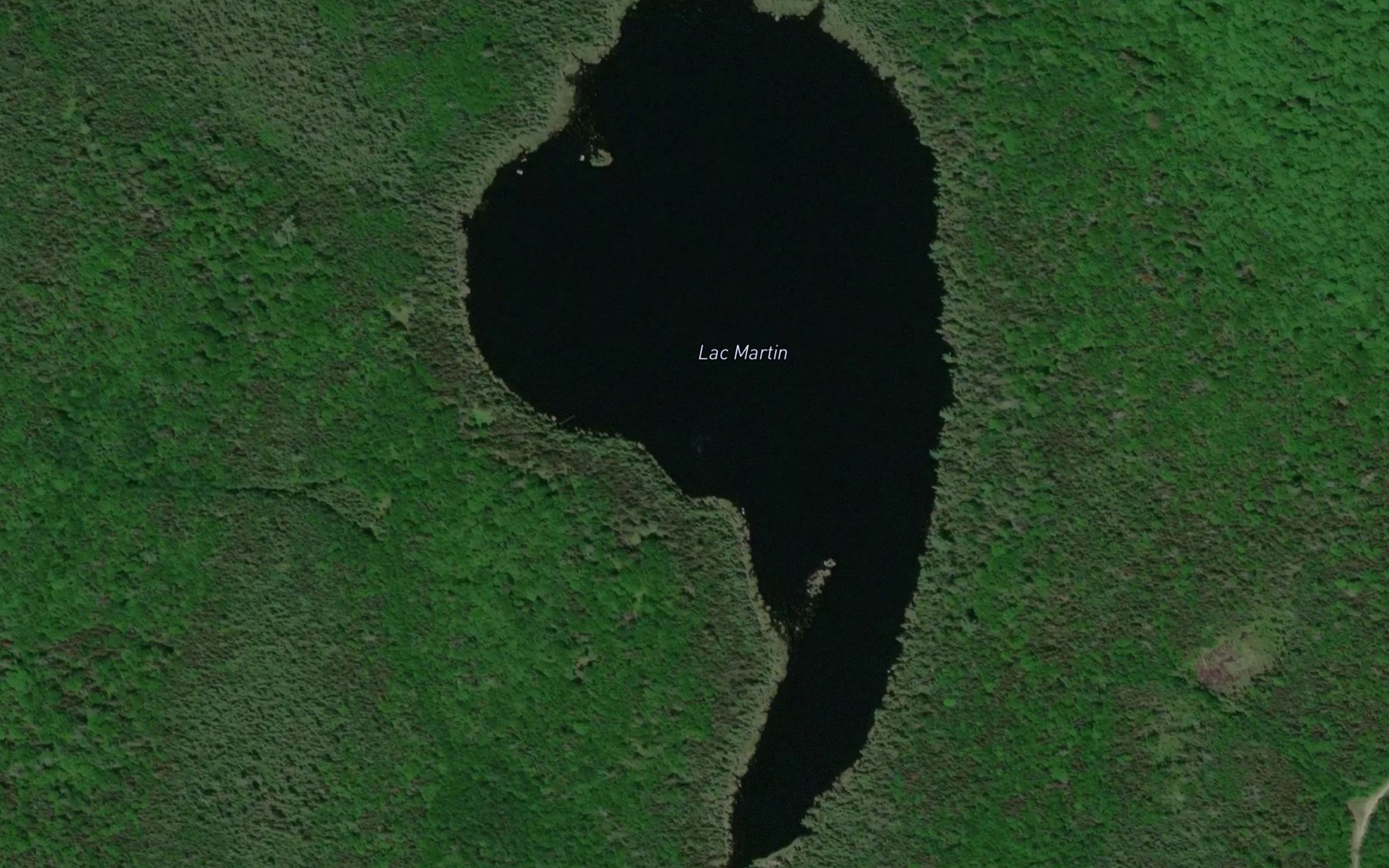 Satellite map of the Lac Martin