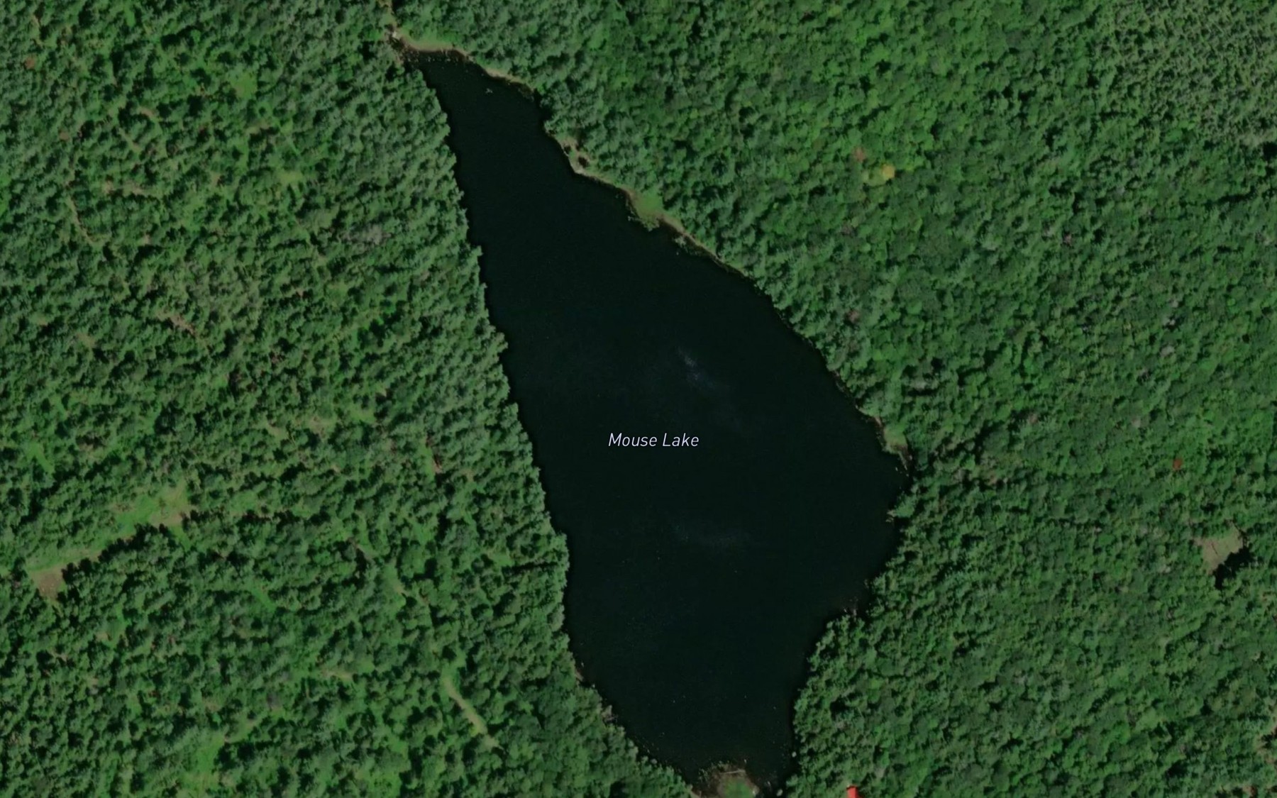 Satellite map of the Mouse Lake