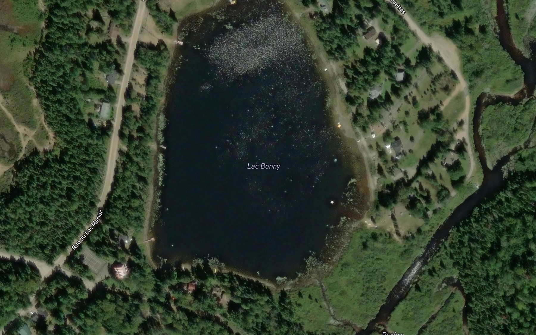Satellite map of the Lac Bonny