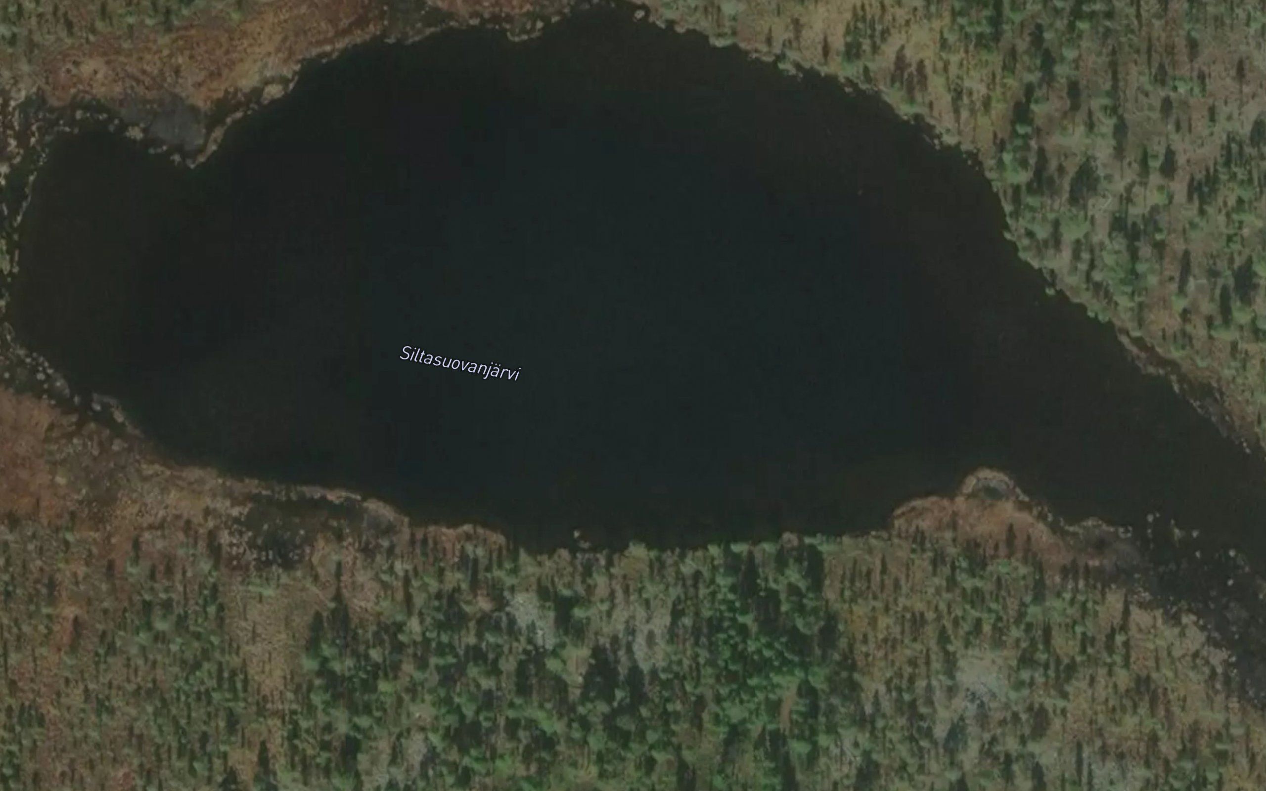 Saldelyevijaavras