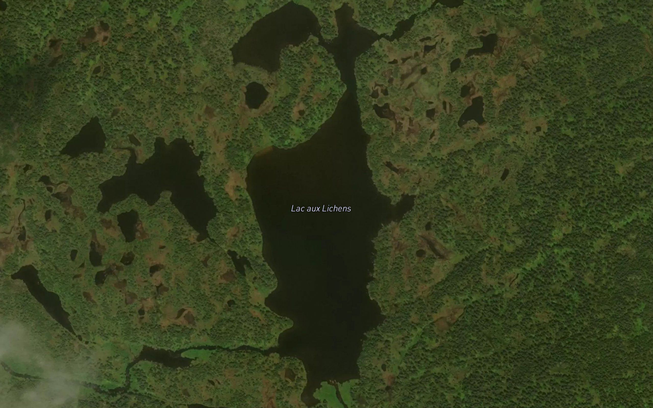 Lac aux Lichens